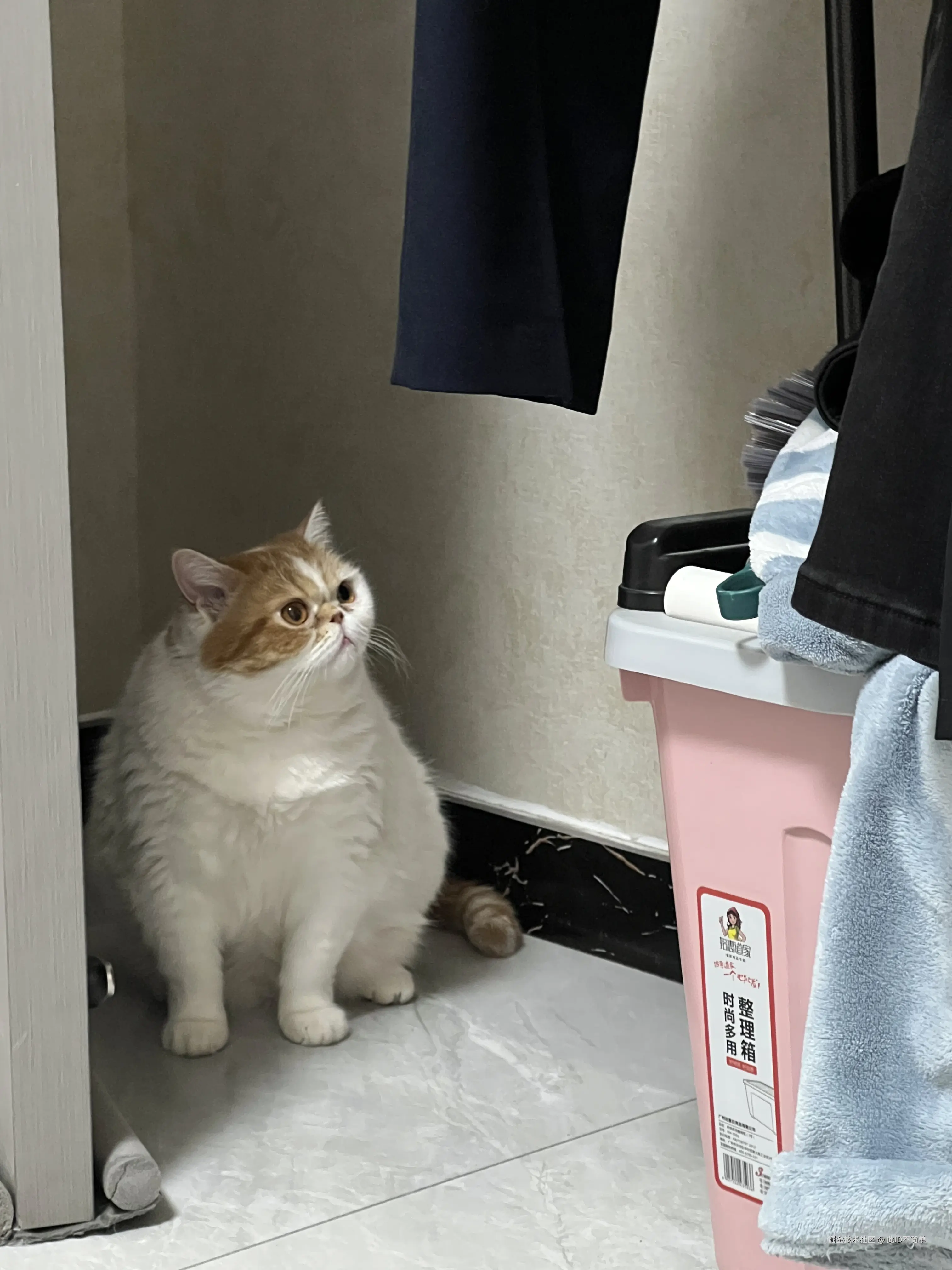 此ID不简单于2024-12-11 08:58发布的图片