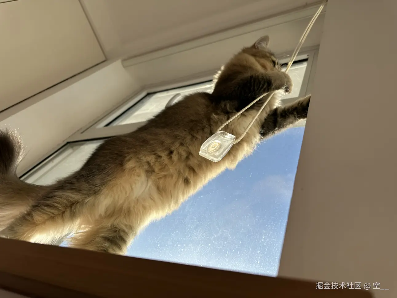 空__于2024-11-29 11:43发布的图片