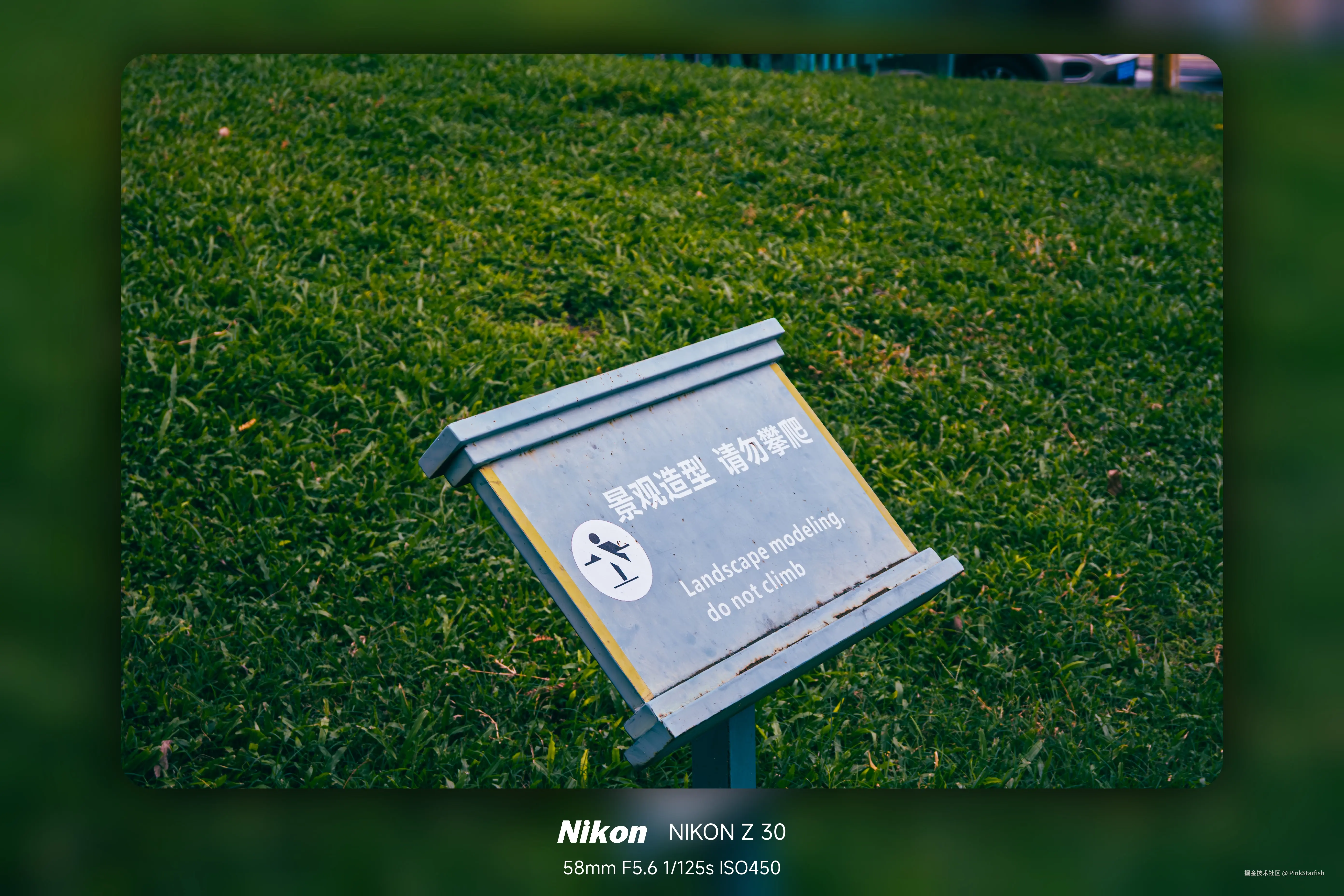 PinkStarfish于2025-05-29 00:57发布的图片