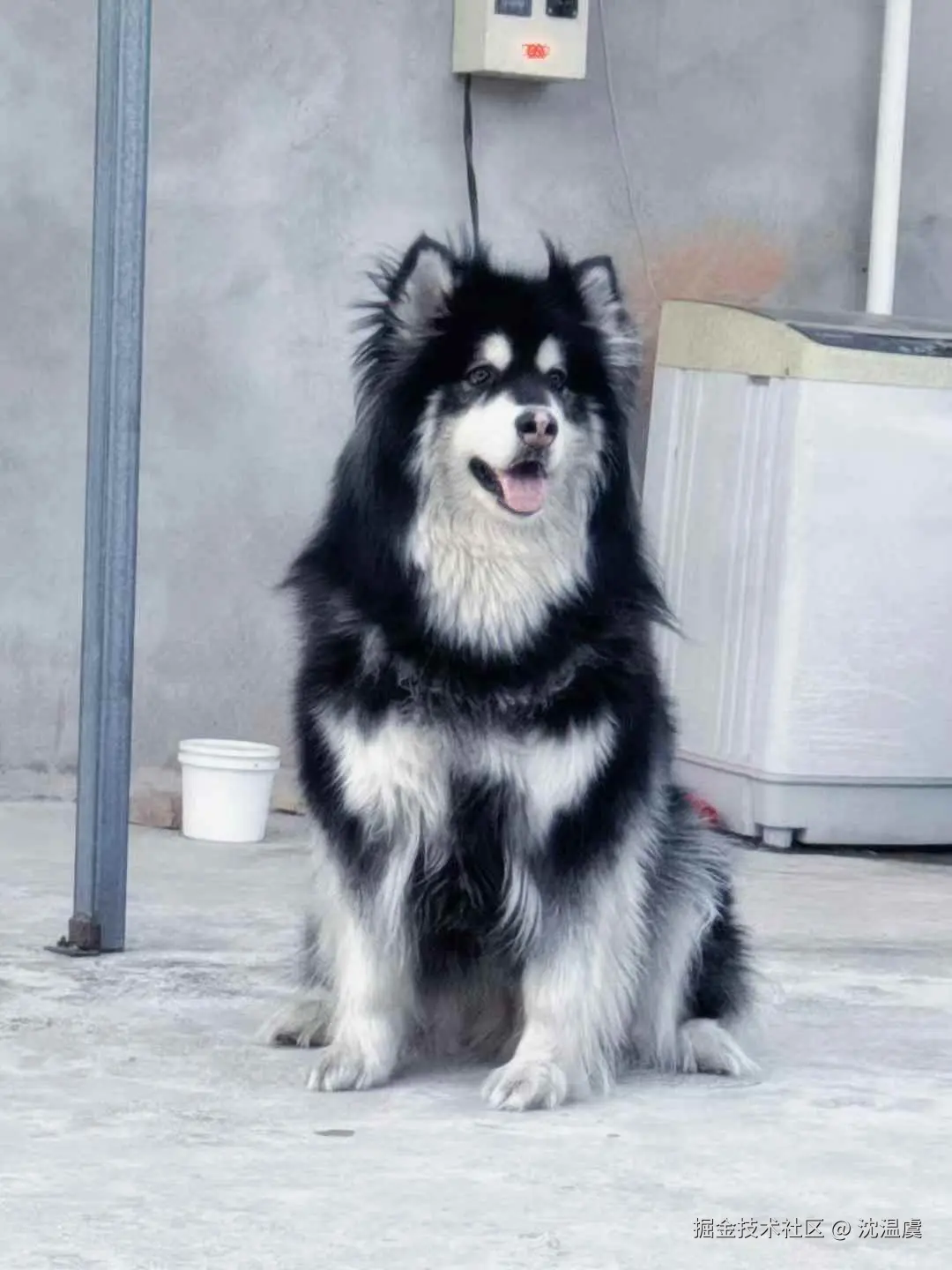 沈温虞于2025-12-12 13:39发布的图片