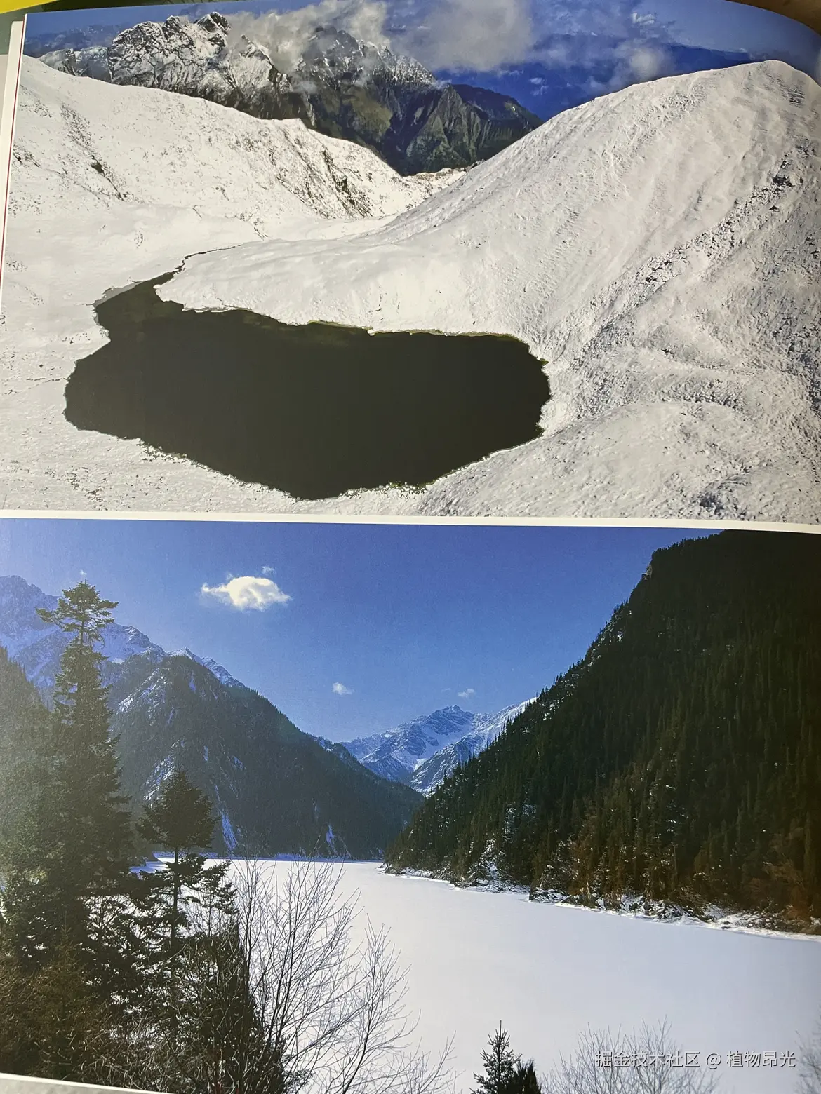 植物昂光于2026-03-10 21:49发布的图片