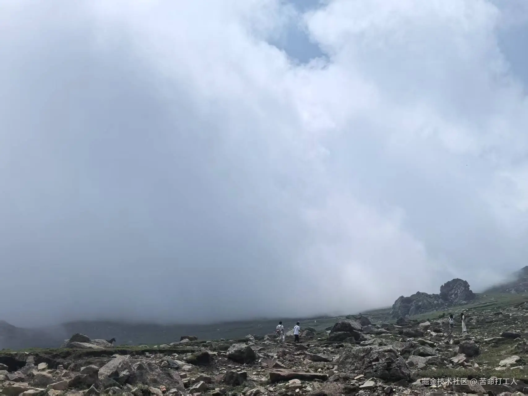 苦命打工人于2025-08-04 15:34发布的图片