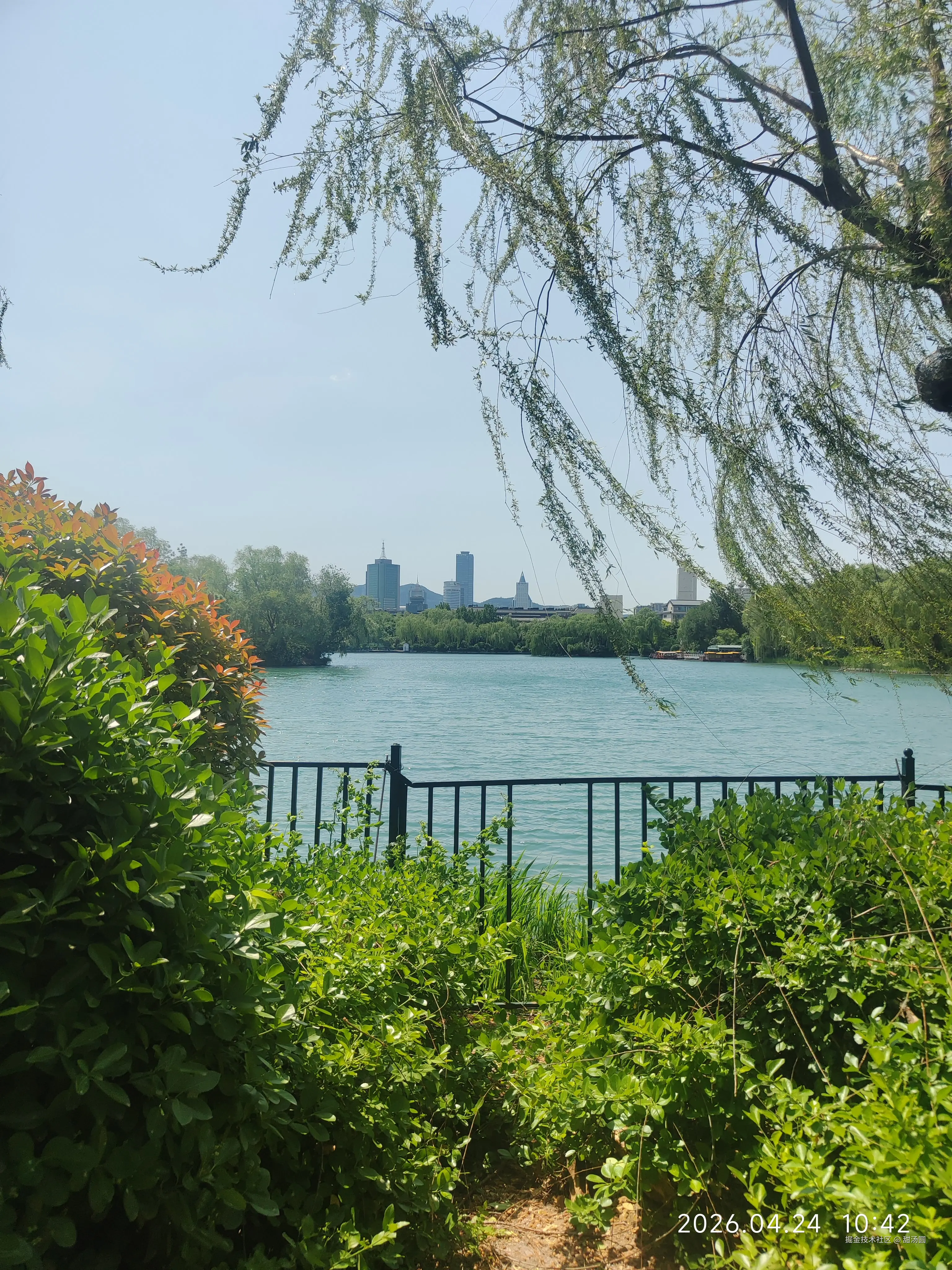 甜汤圆于2026-04-24 10:47发布的图片