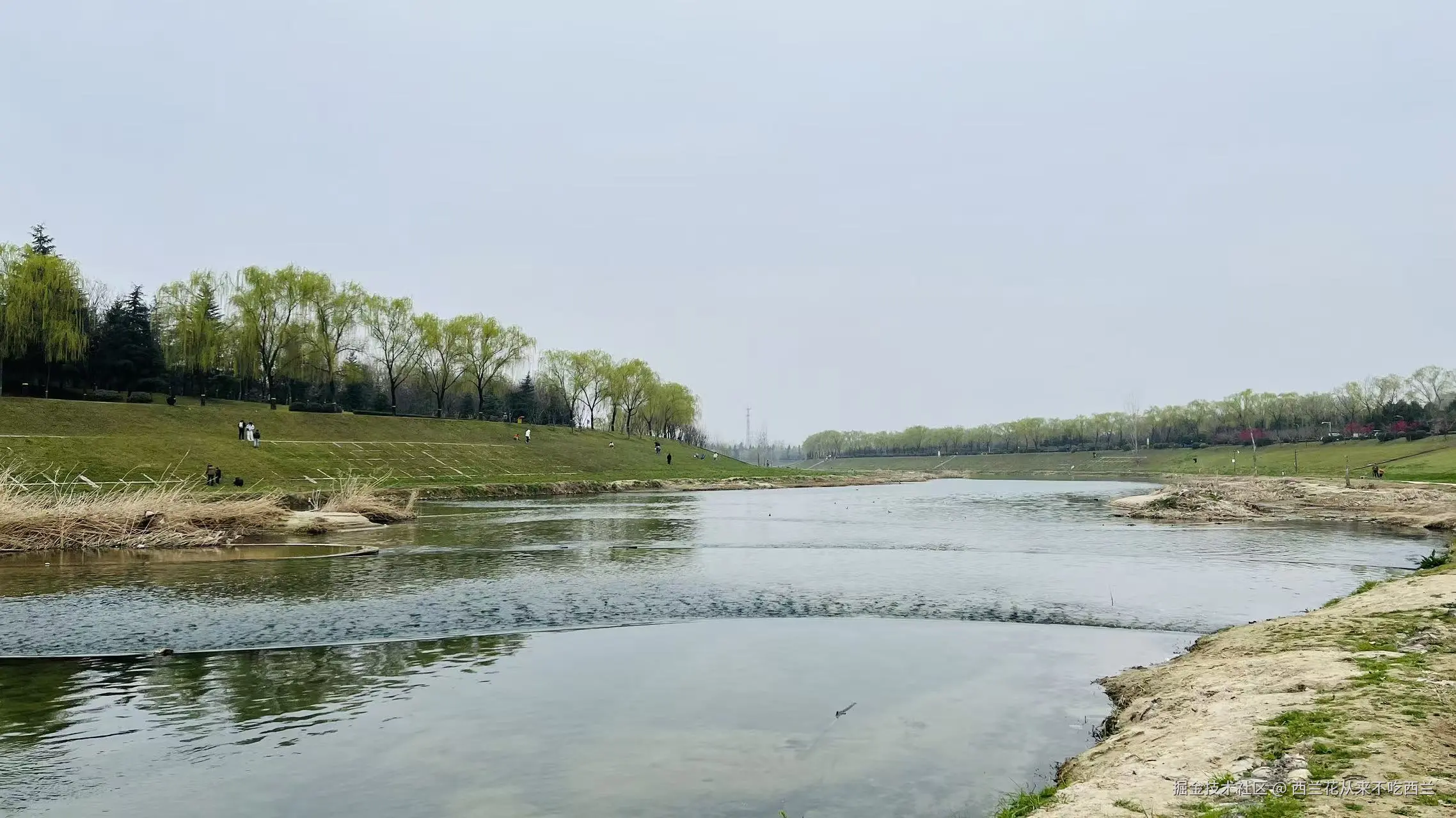 西兰花从来不吃西兰于2026-03-09 14:56发布的图片