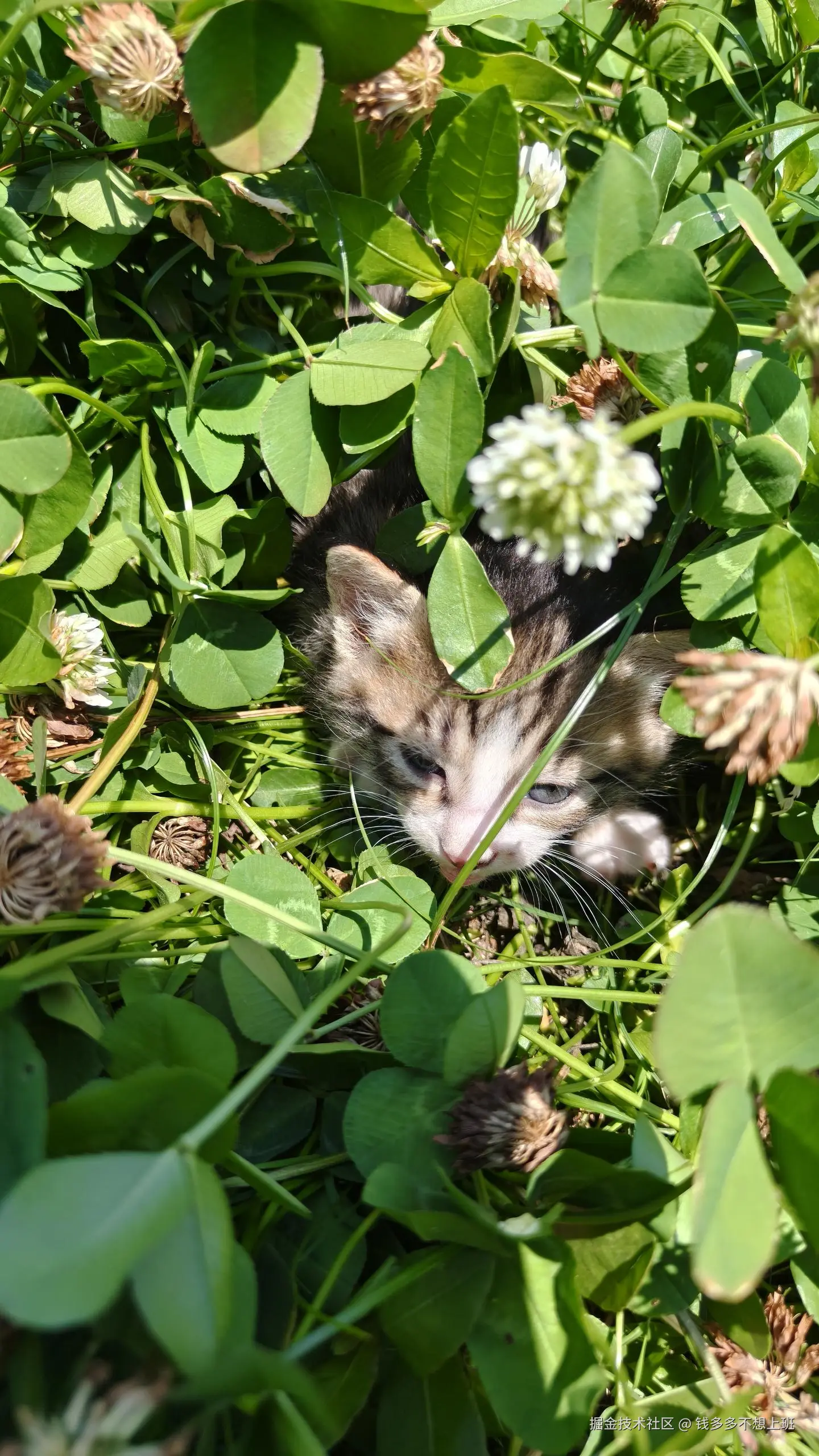 钱多多不想上班于2025-05-12 13:53发布的图片