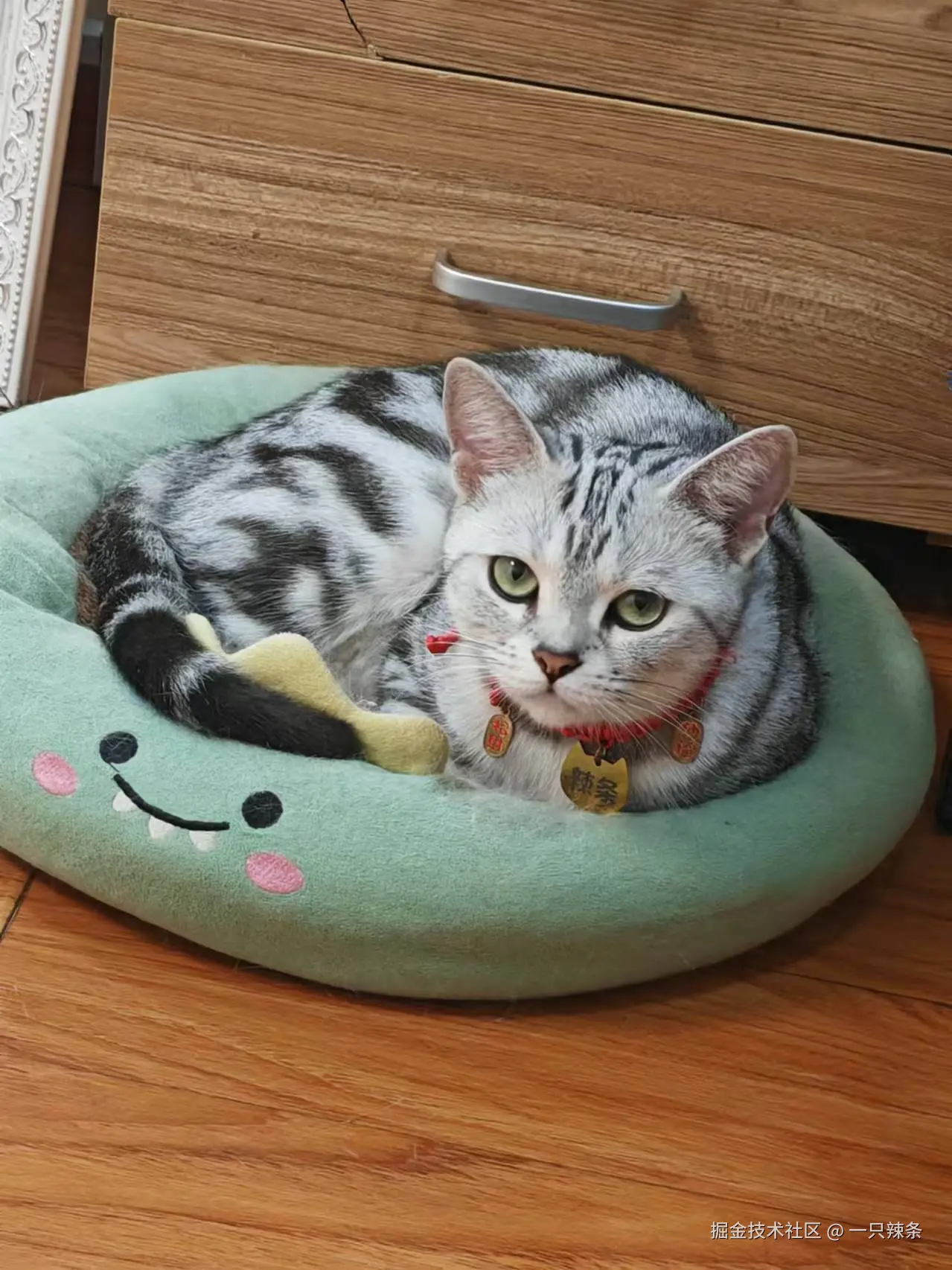 一只辣条于2024-09-11 16:55发布的图片