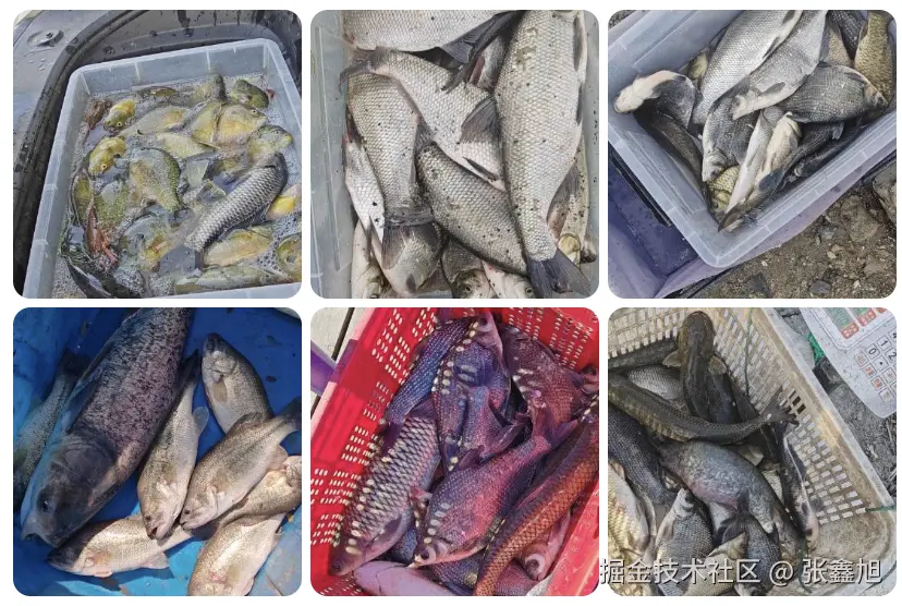 张鑫旭于2026-05-11 11:55发布的图片