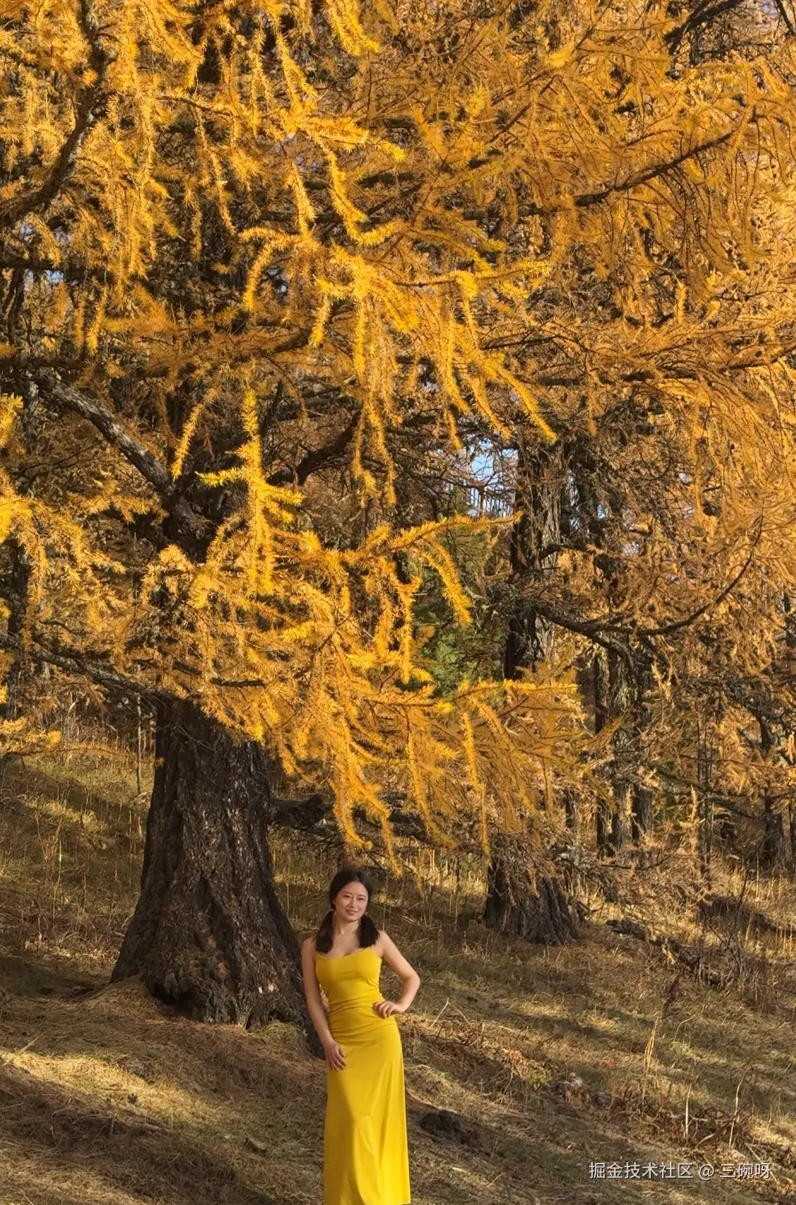 三碗呀于2025-10-22 13:55发布的图片