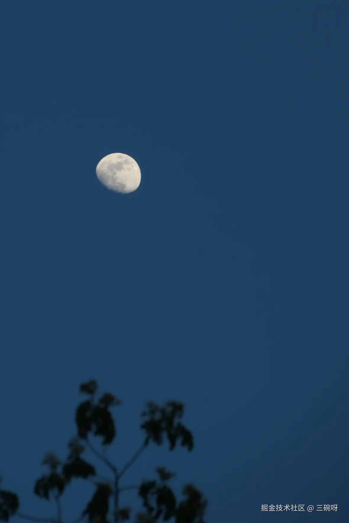 三碗呀于2025-05-12 09:39发布的图片