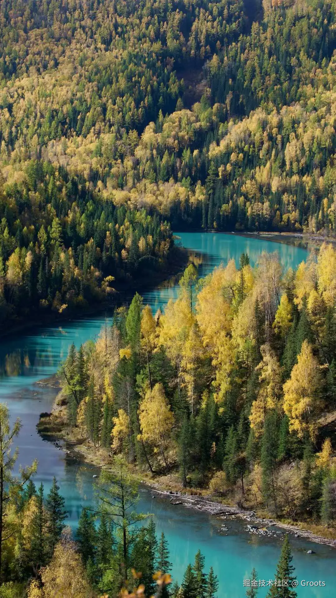 Groots于2025-09-29 09:56发布的图片