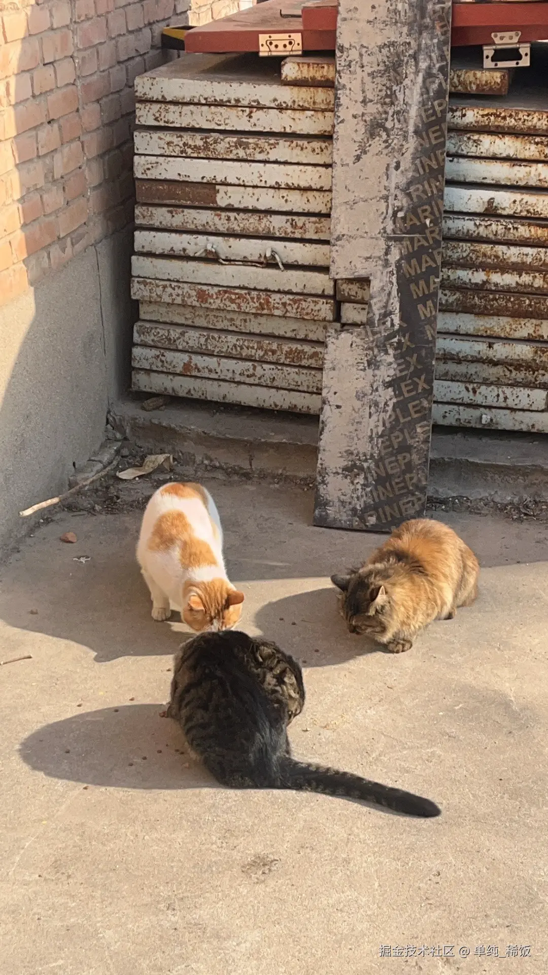 单纯_稀饭于2025-12-04 11:35发布的图片