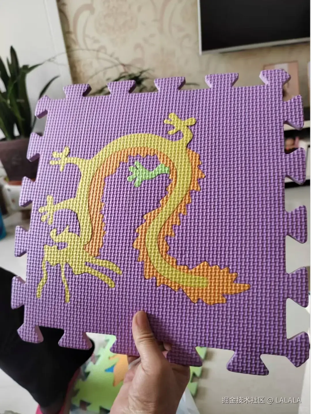 LALALA于2026-04-27 15:36发布的图片