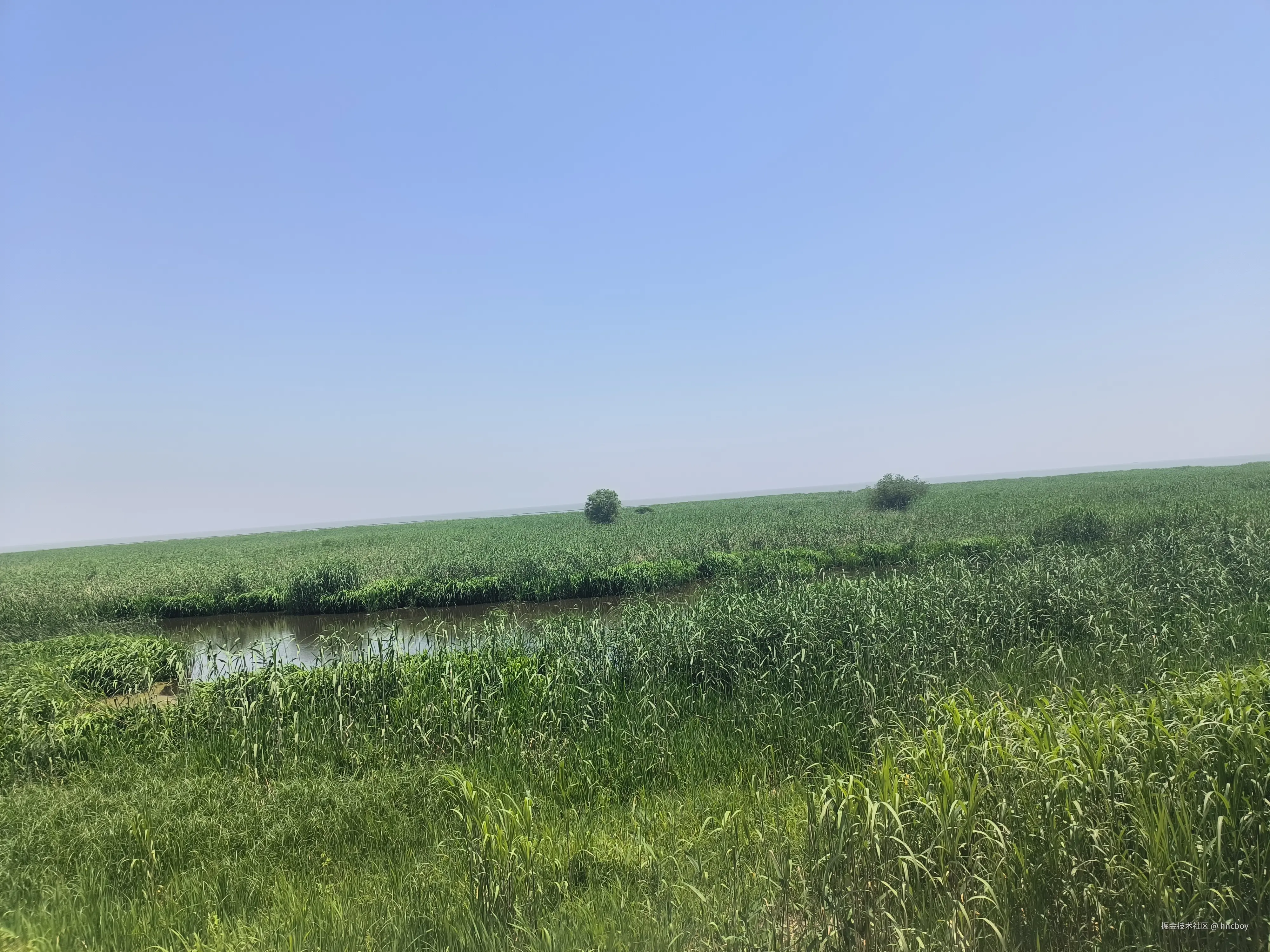 hncboy于2025-05-06 09:37发布的图片