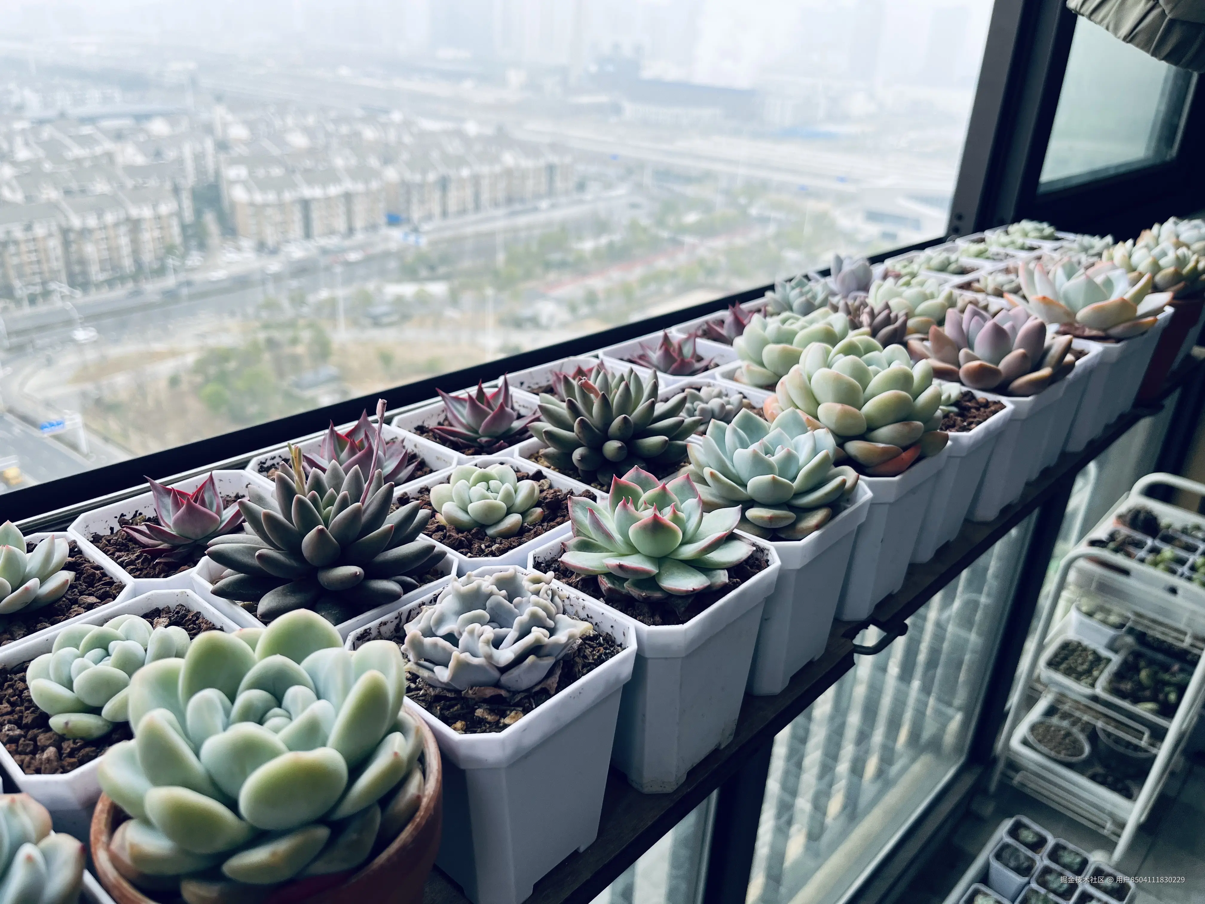 用户8504111830229于2025-03-31 10:40发布的图片