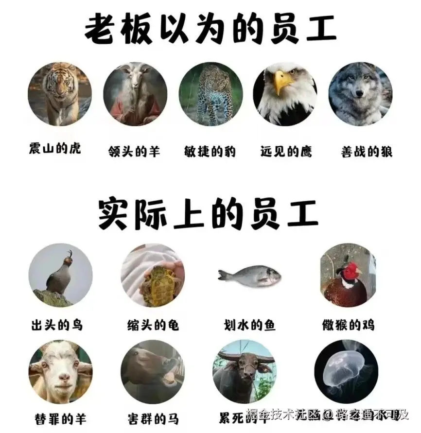 路之遥不可及于2024-11-15 16:35发布的图片