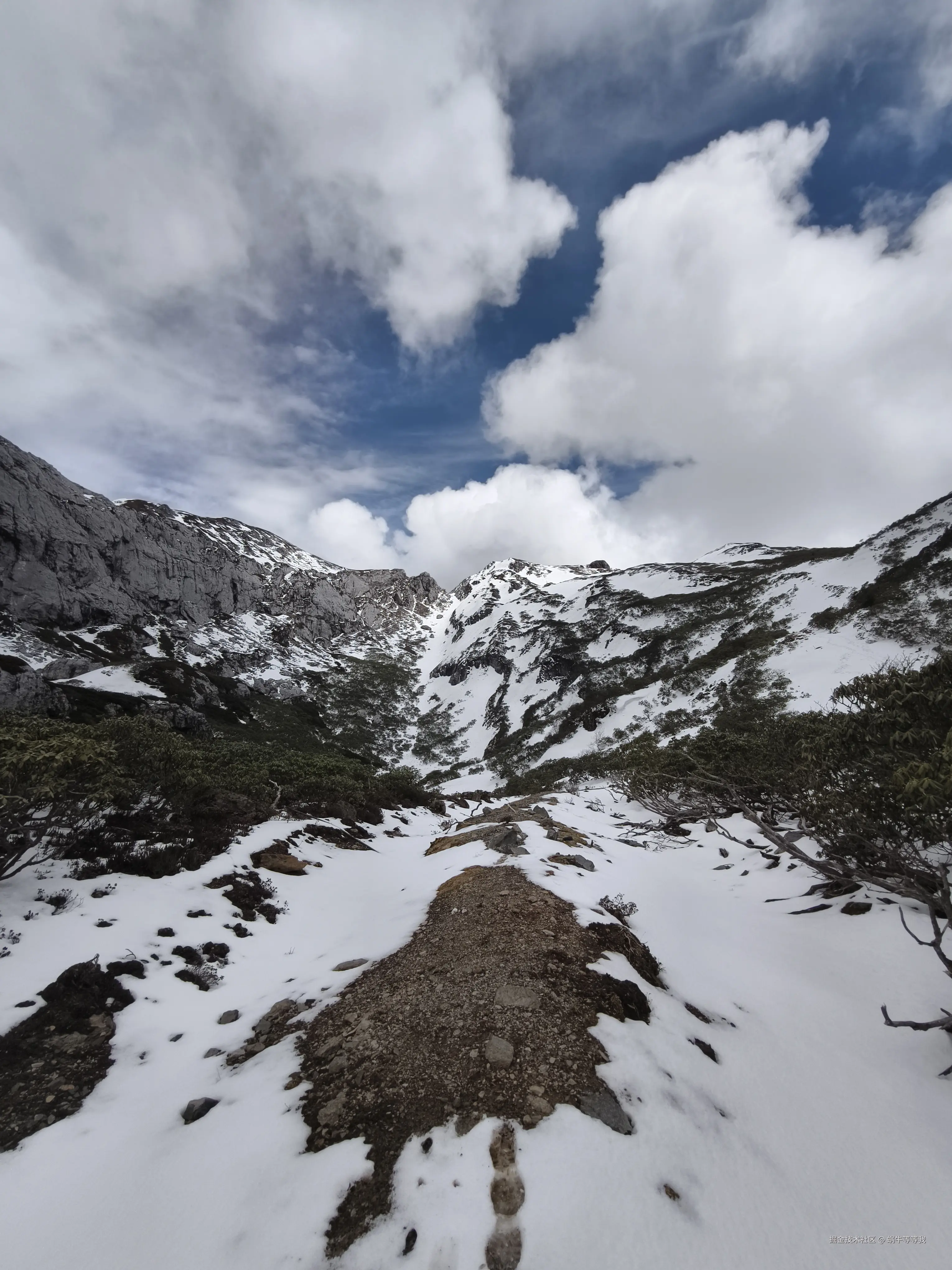 蜗牛等等我于2025-05-29 15:46发布的图片