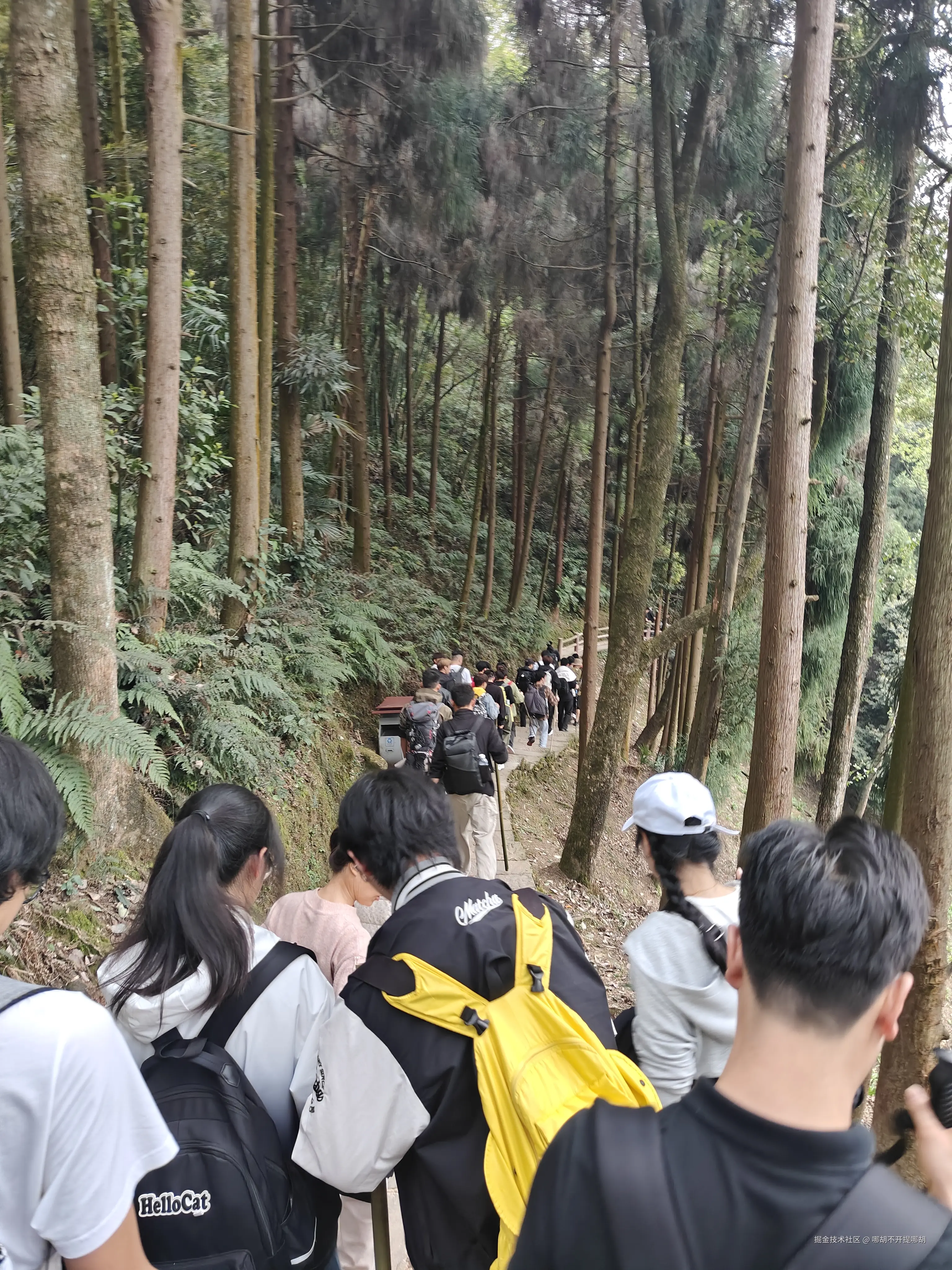 哪胡不开提哪胡于2025-04-07 08:49发布的图片