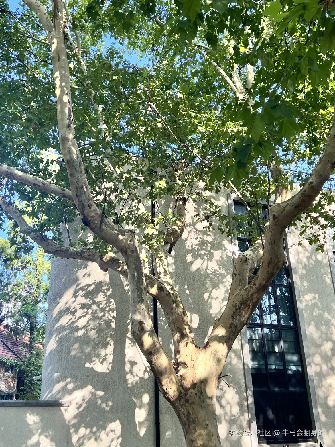 牛马会翻身的于2024-08-19 09:48发布的图片