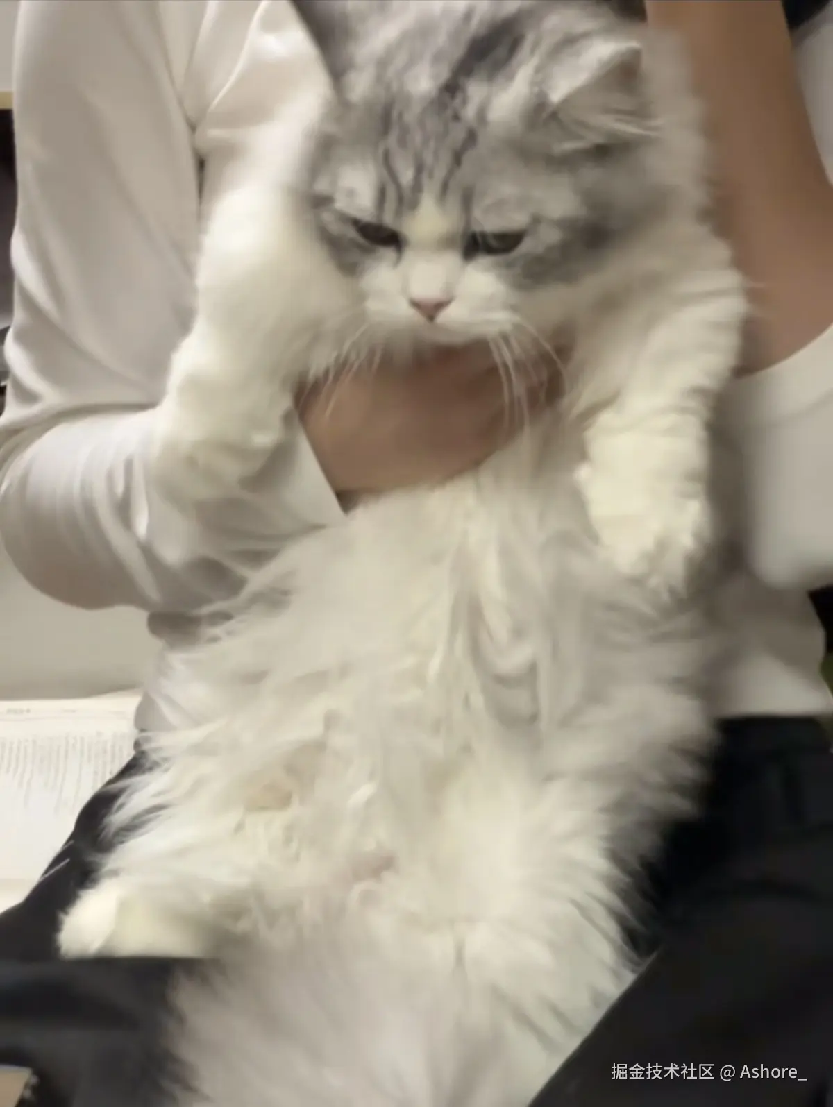 Ashore_于2024-12-20 03:24发布的图片