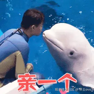 带土ovo于2025-04-11 09:57发布的图片