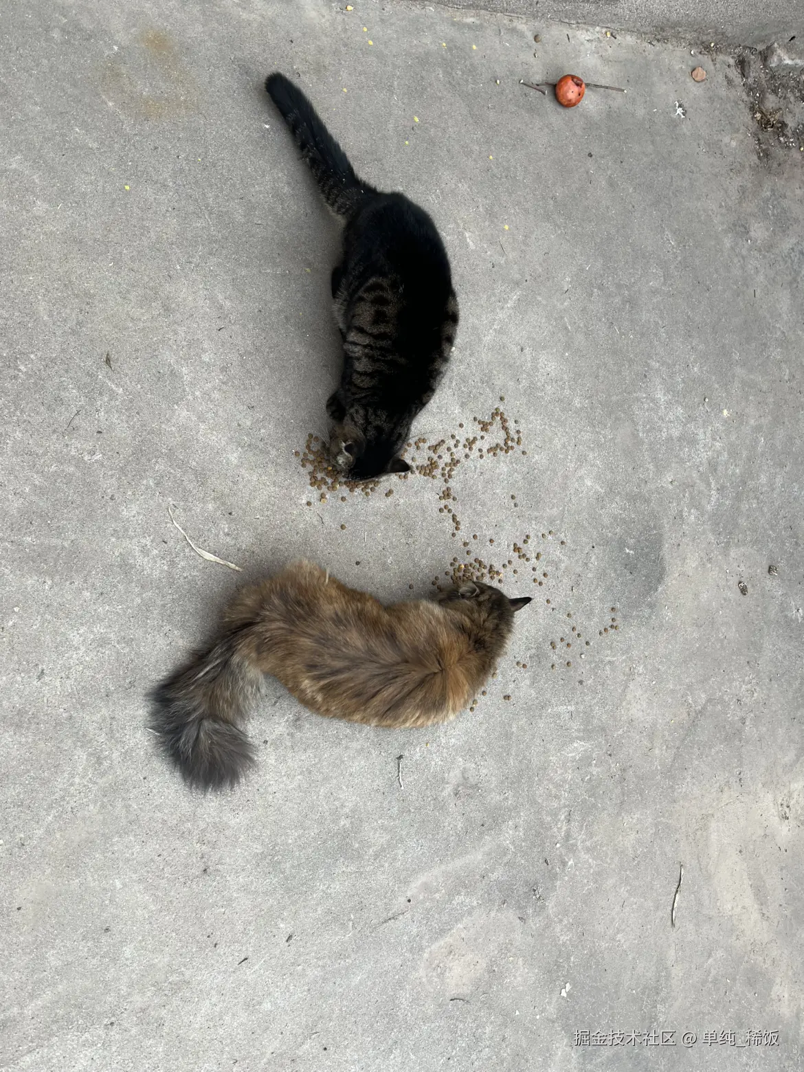 单纯_稀饭于2025-12-02 09:18发布的图片