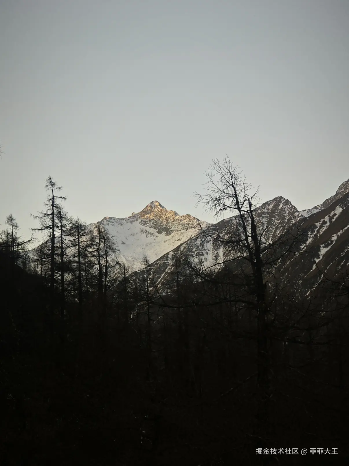 菲菲大王于2025-12-15 10:55发布的图片