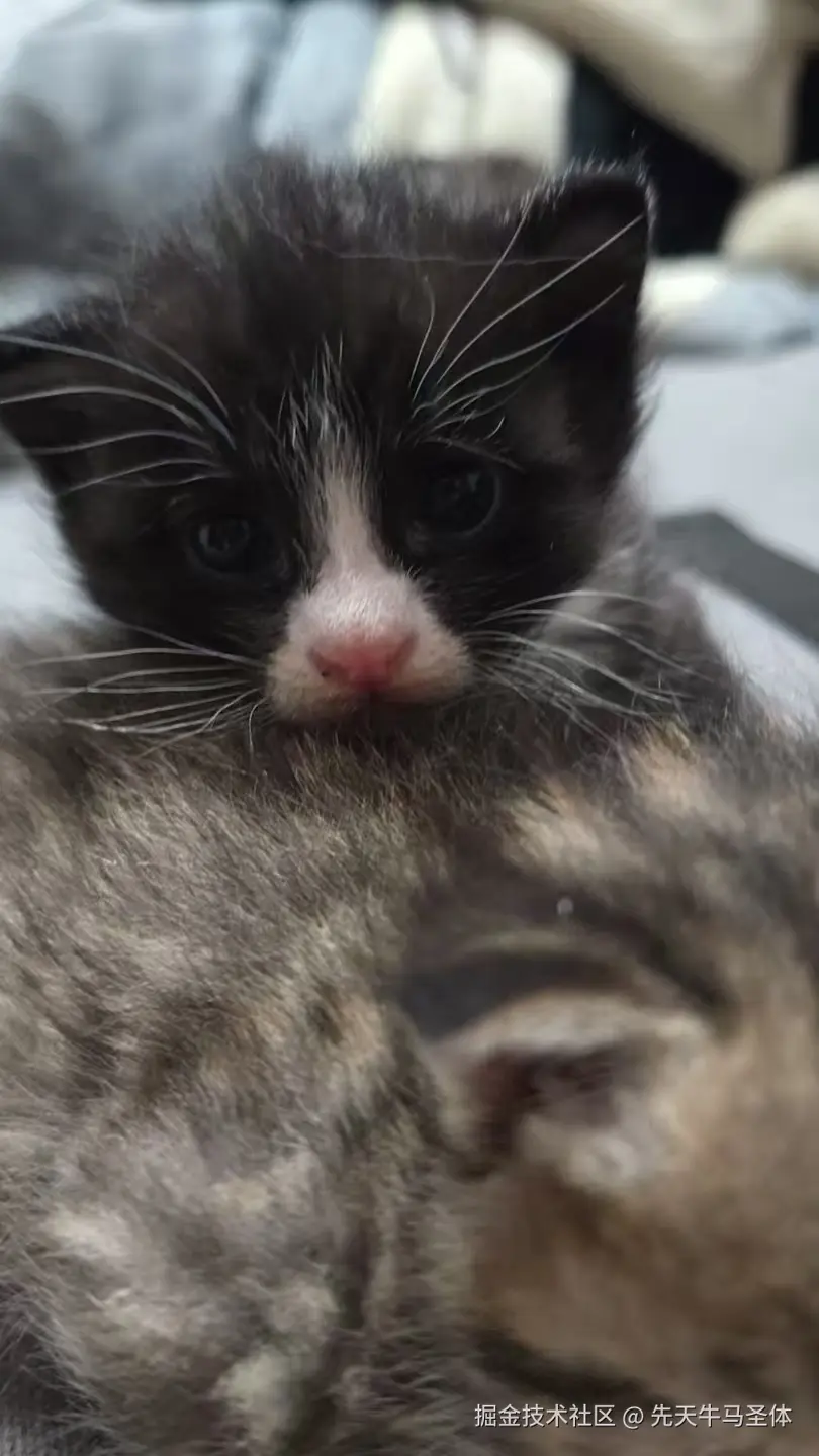 先天牛马圣体于2025-04-15 10:05发布的图片