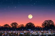 程序员学习大模型