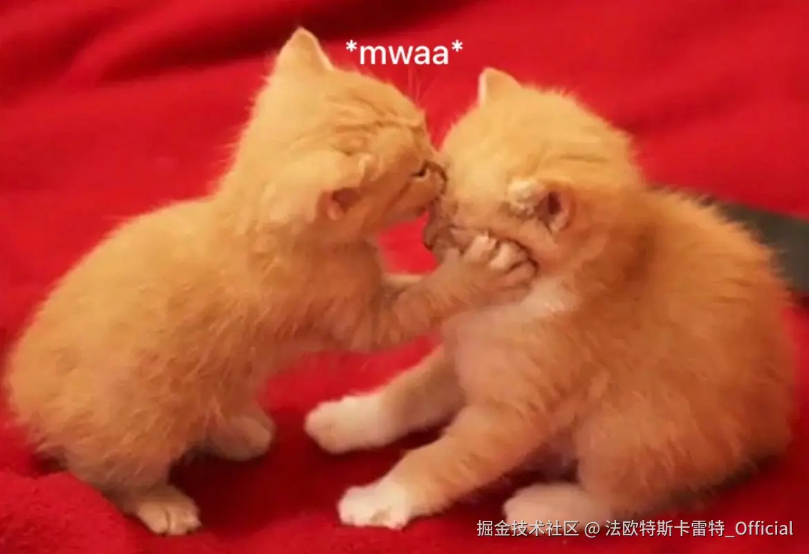 法欧特斯卡雷特_Official于2024-11-22 13:37发布的图片