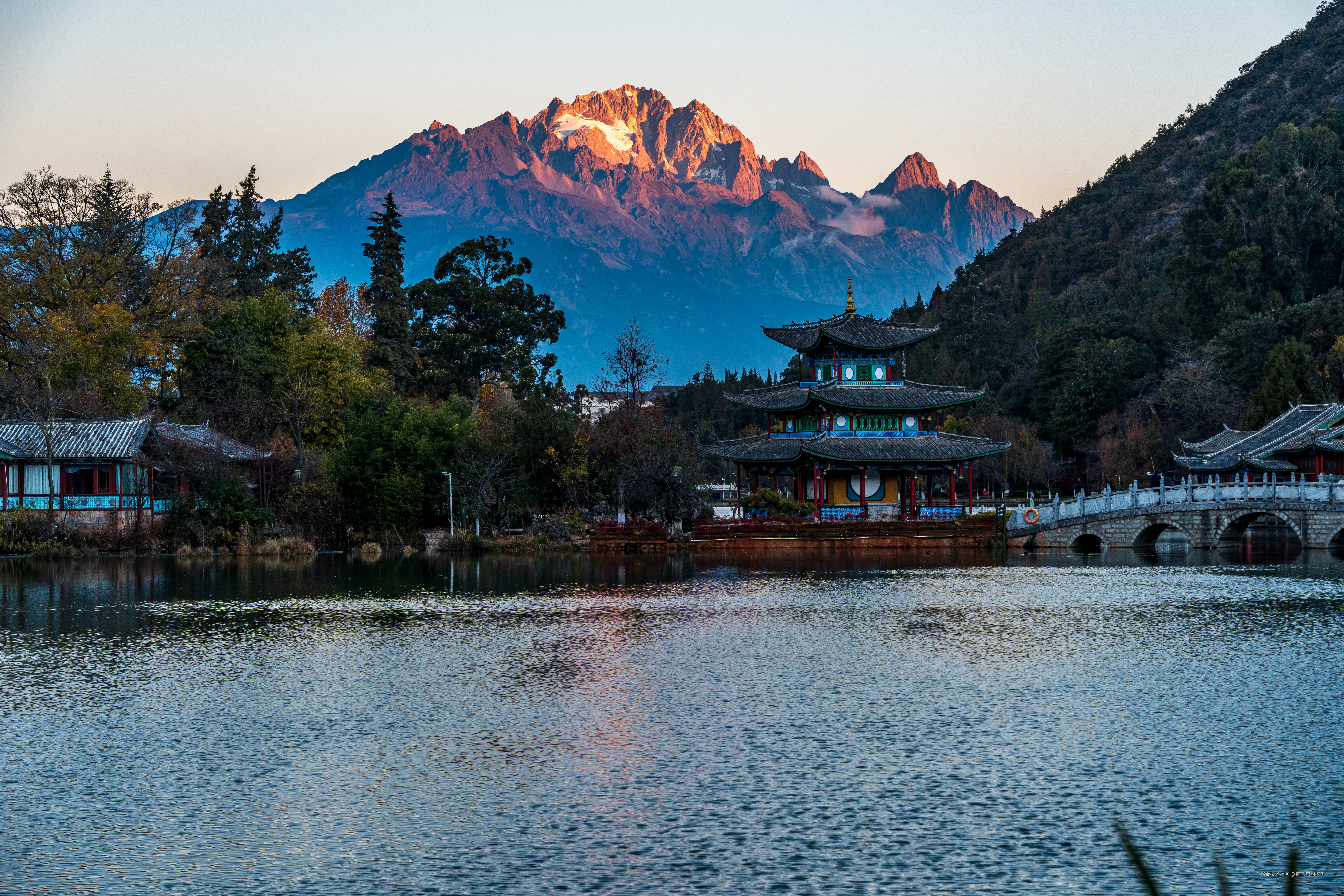 阿飞只想摸鱼于2026-02-11 14:49发布的图片