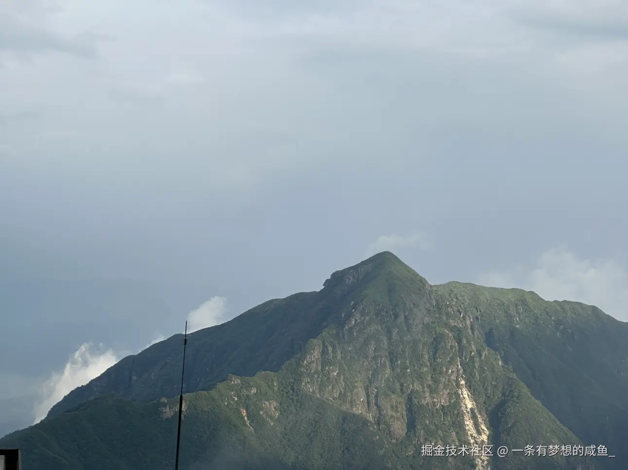 一条有梦想的咸鱼_于2025-07-28 14:12发布的图片