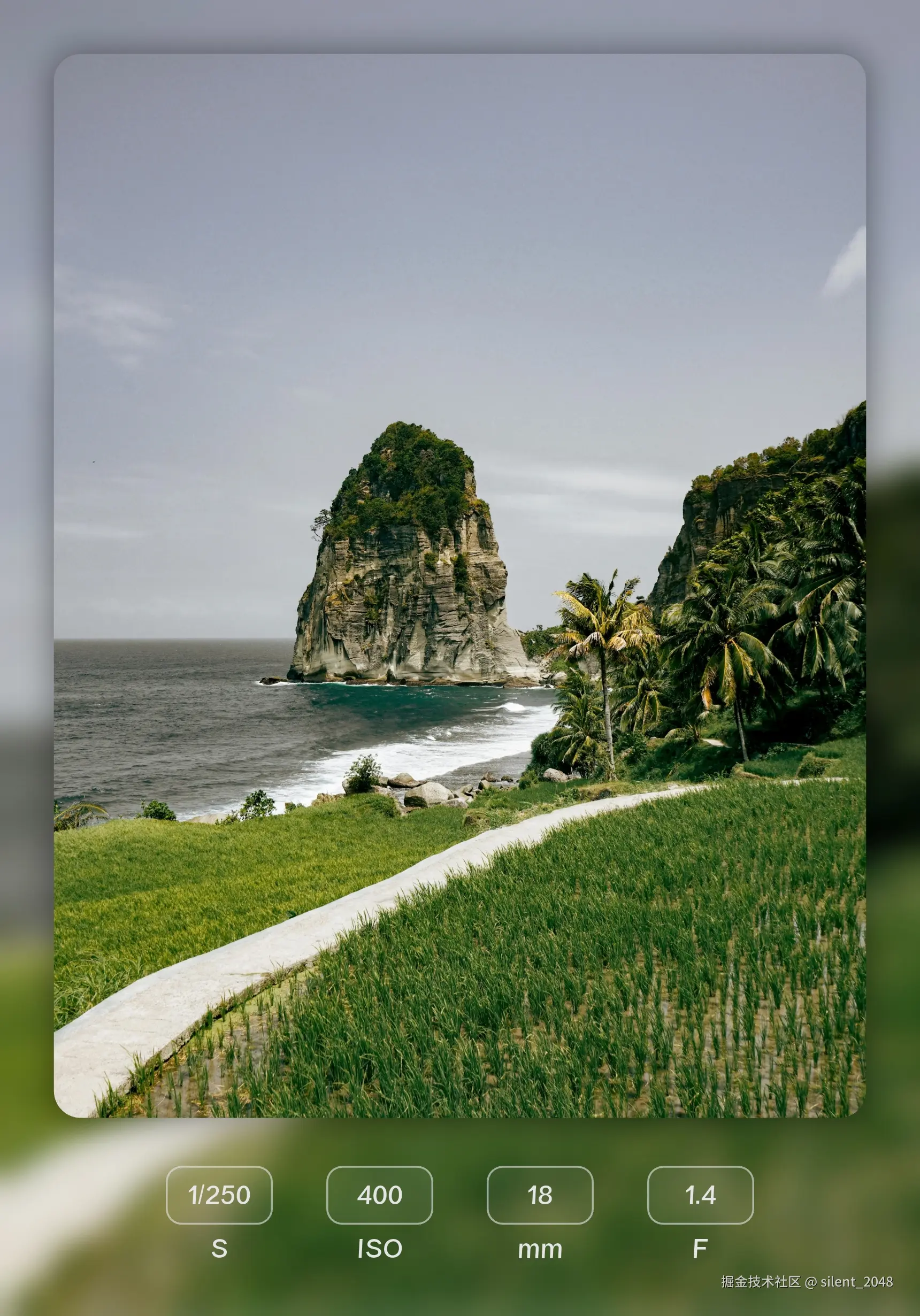 silent_2048于2025-05-15 09:54发布的图片