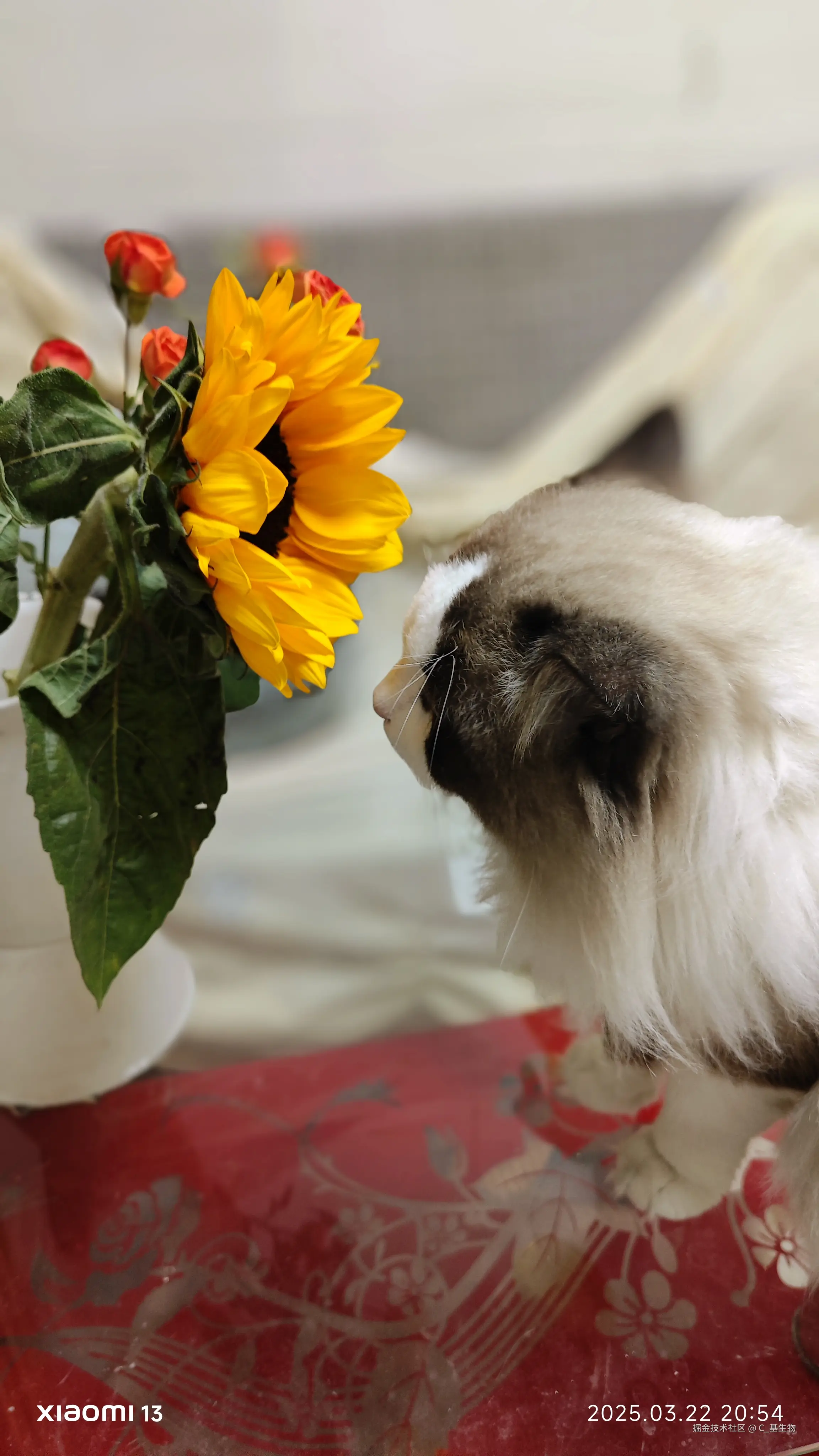 C_基生物于2025-03-24 12:03发布的图片