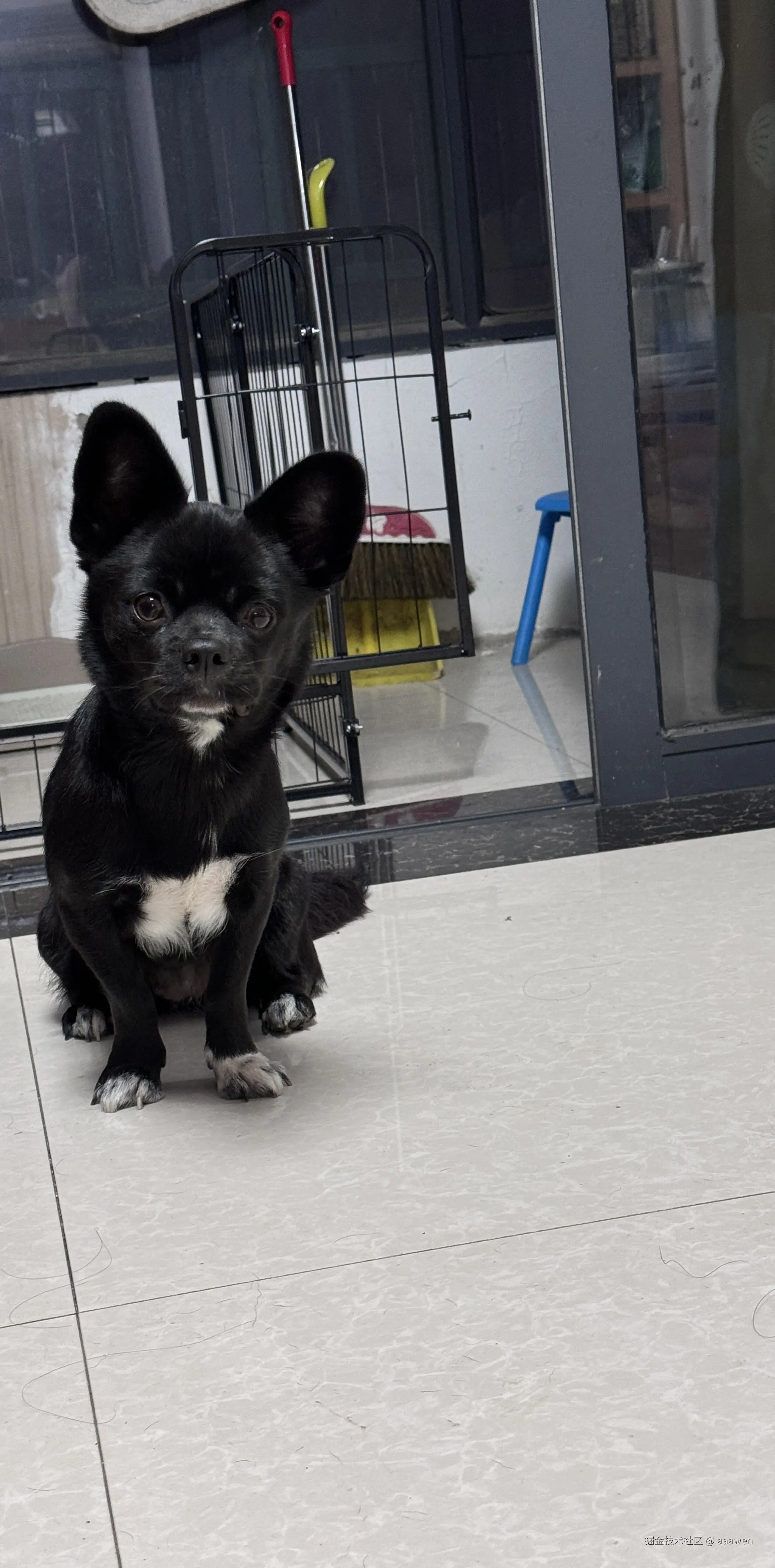 aaawen于2025-02-19 14:10发布的图片