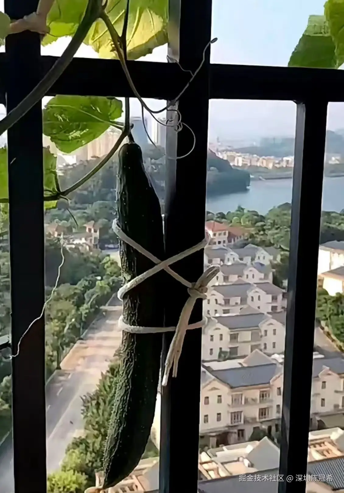 深圳陈冠希于2025-09-23 16:37发布的图片
