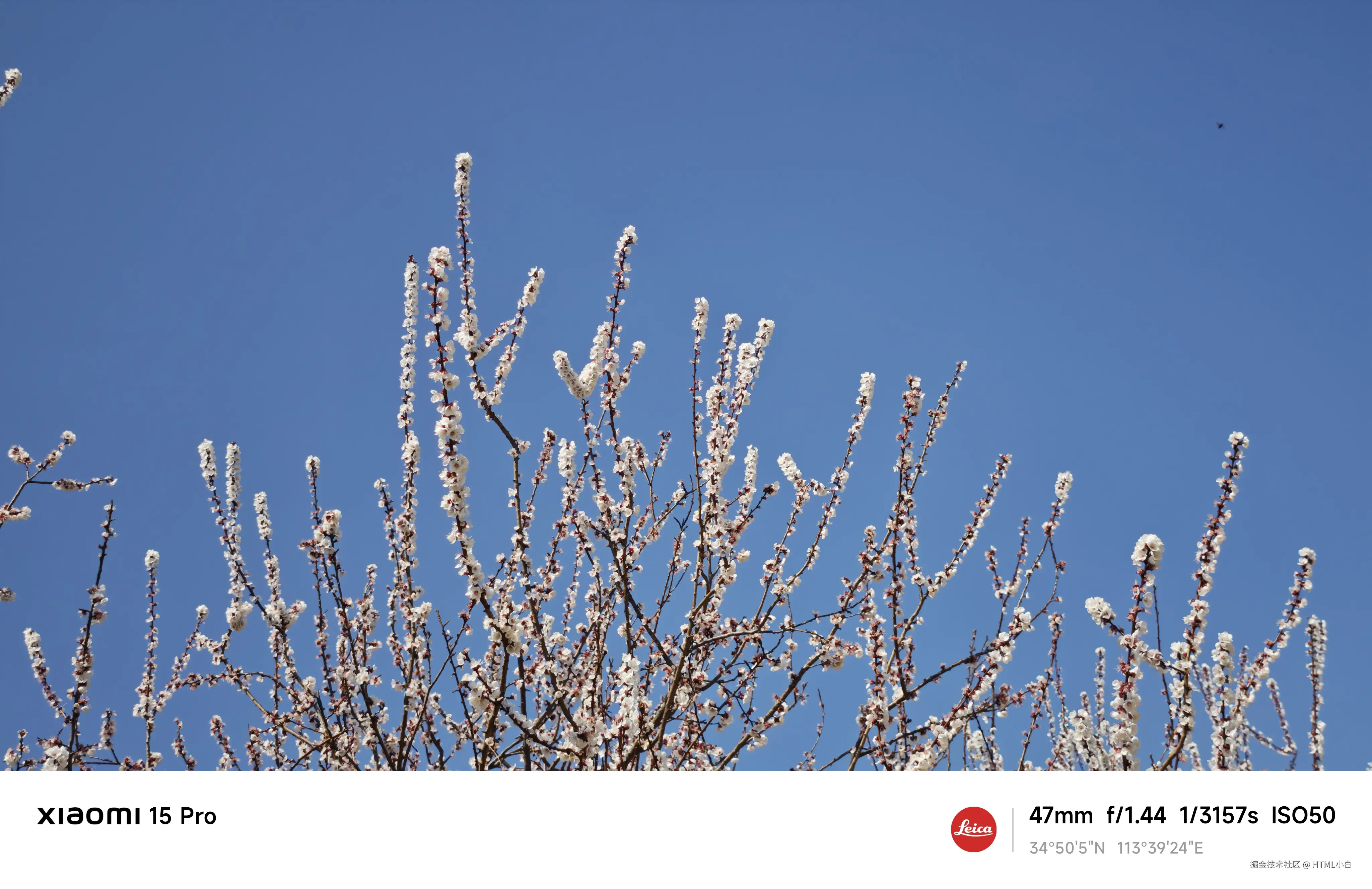 HTML小白于2025-03-19 09:31发布的图片