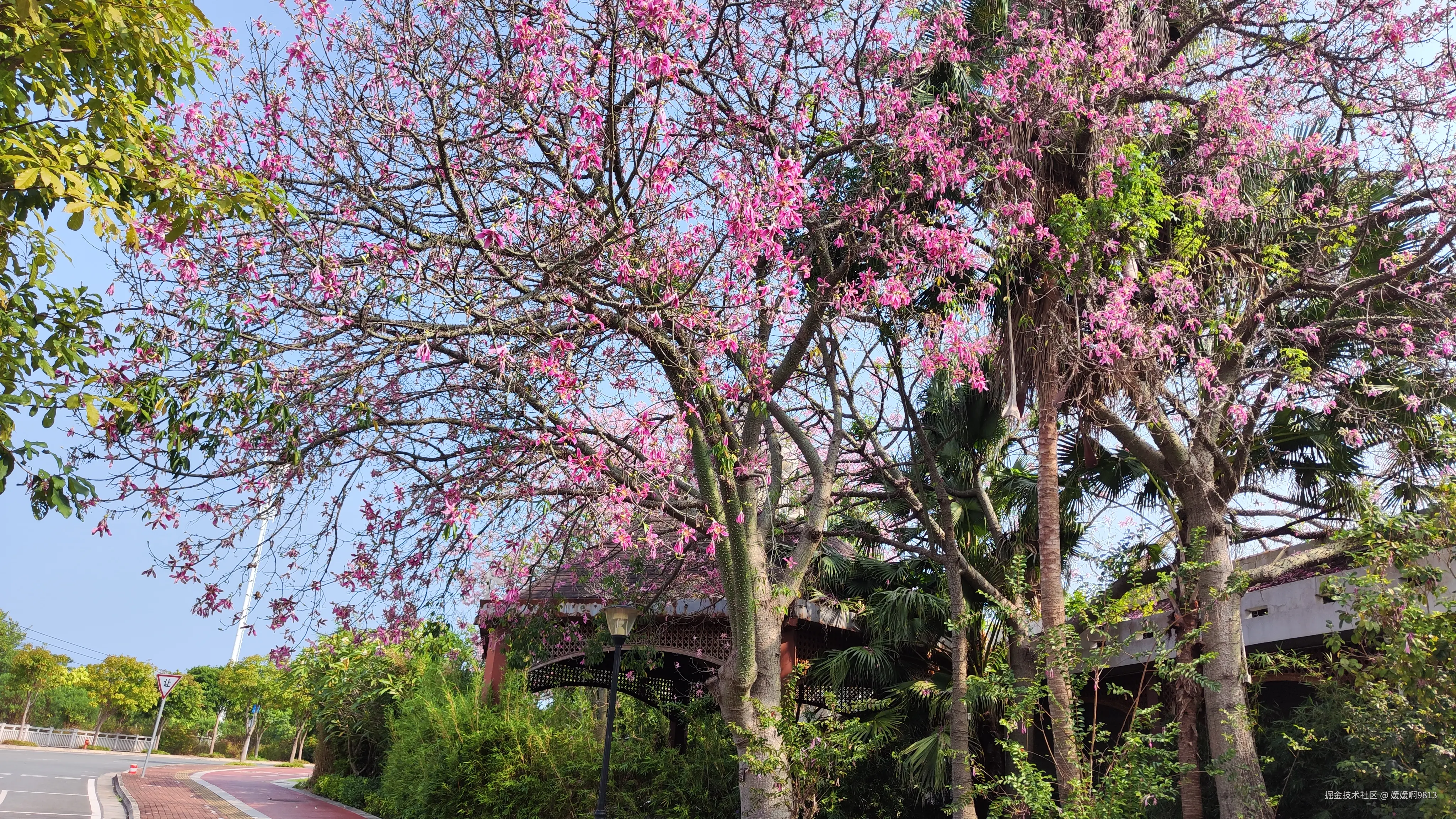 媛媛啊9813于2024-10-21 07:22发布的图片