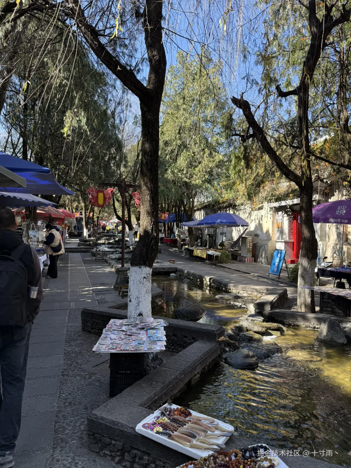 十寸雨丶于2026-01-23 17:17发布的图片