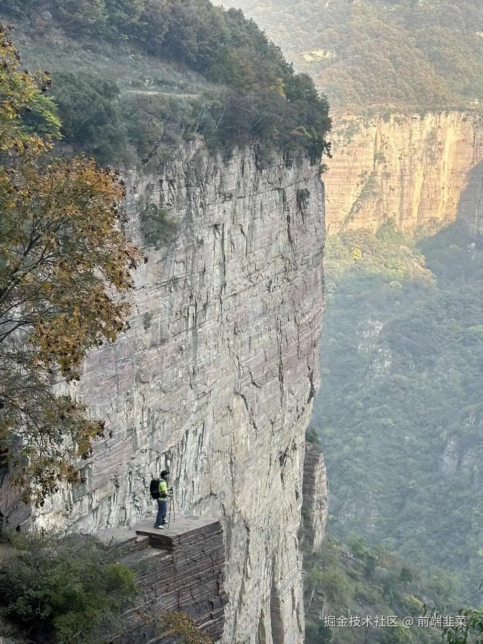 前端韭菜于2024-11-04 17:26发布的图片