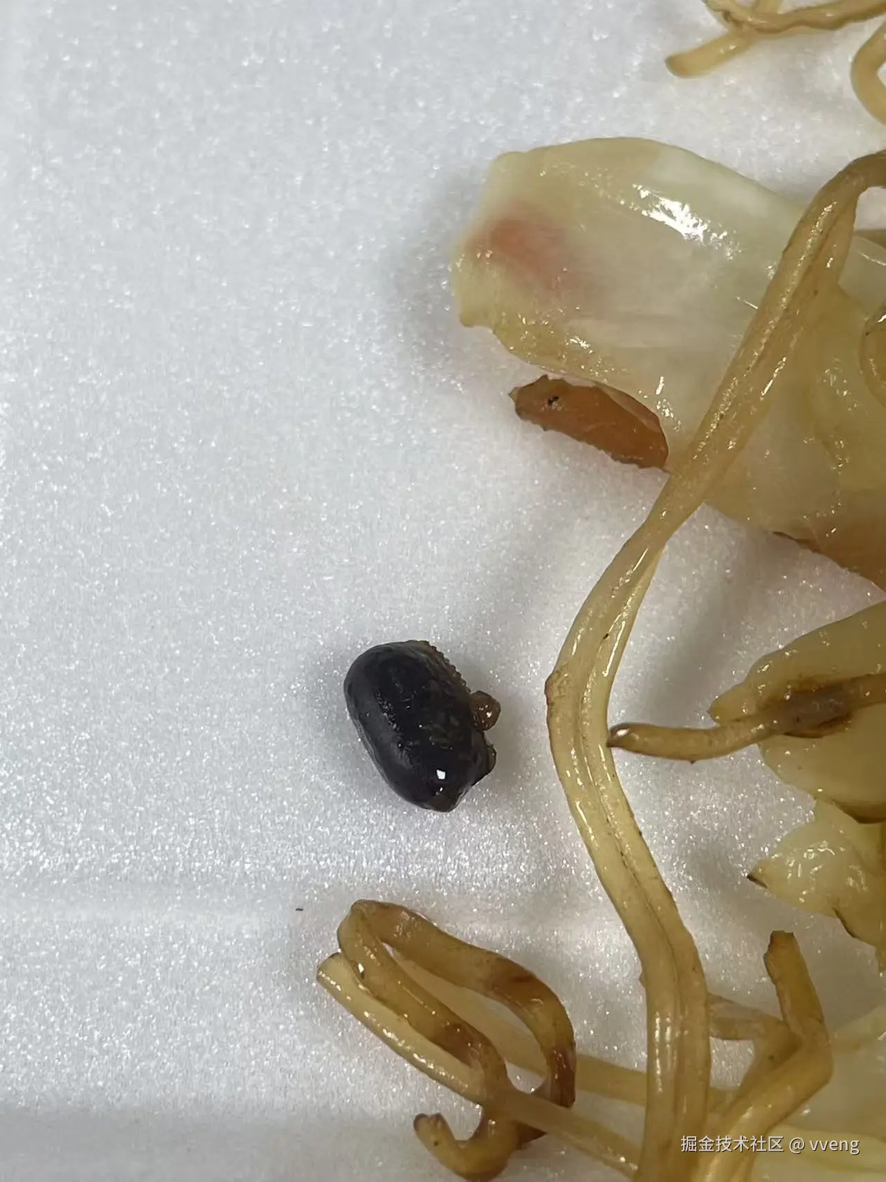 vveng于2025-08-28 10:03发布的图片