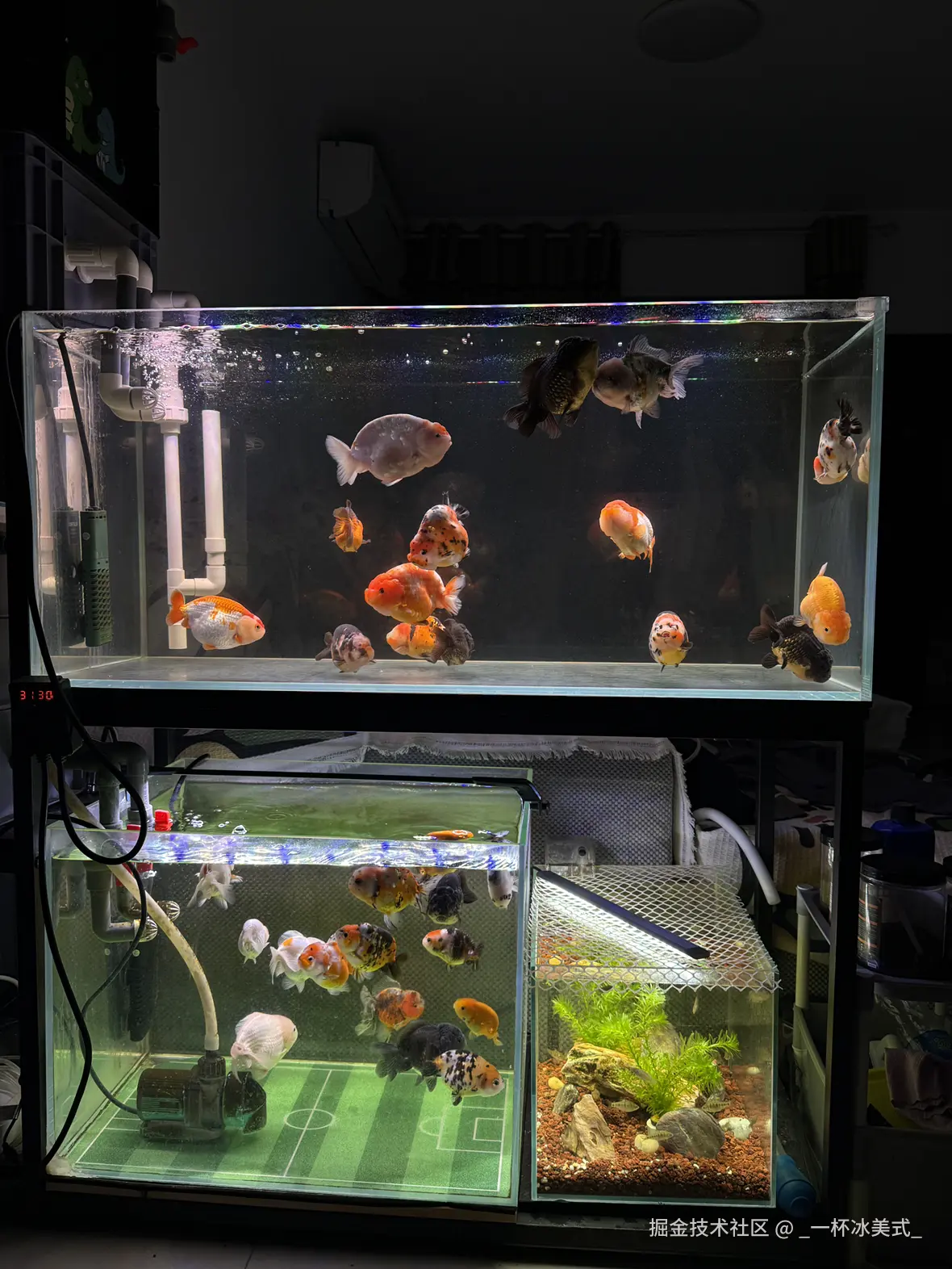 _一杯冰美式_于2024-12-03 10:40发布的图片