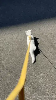 就爱吃火锅于2025-05-27 10:27发布的图片