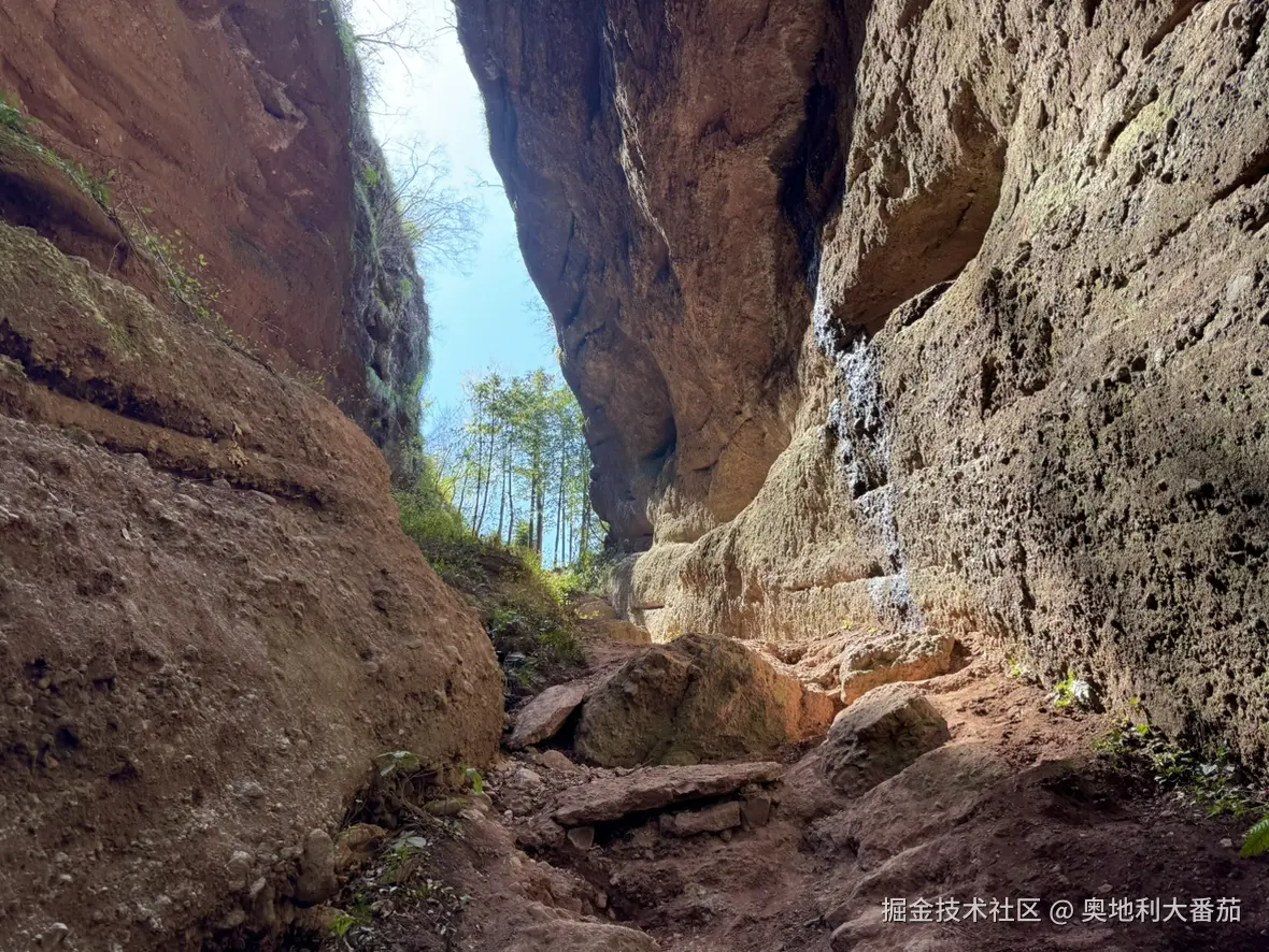 奥地利大番茄于2025-03-24 10:28发布的图片