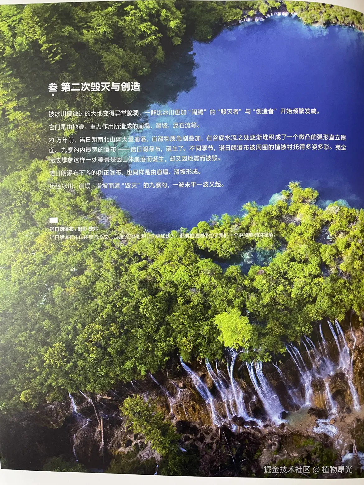 植物昂光于2026-03-10 21:49发布的图片