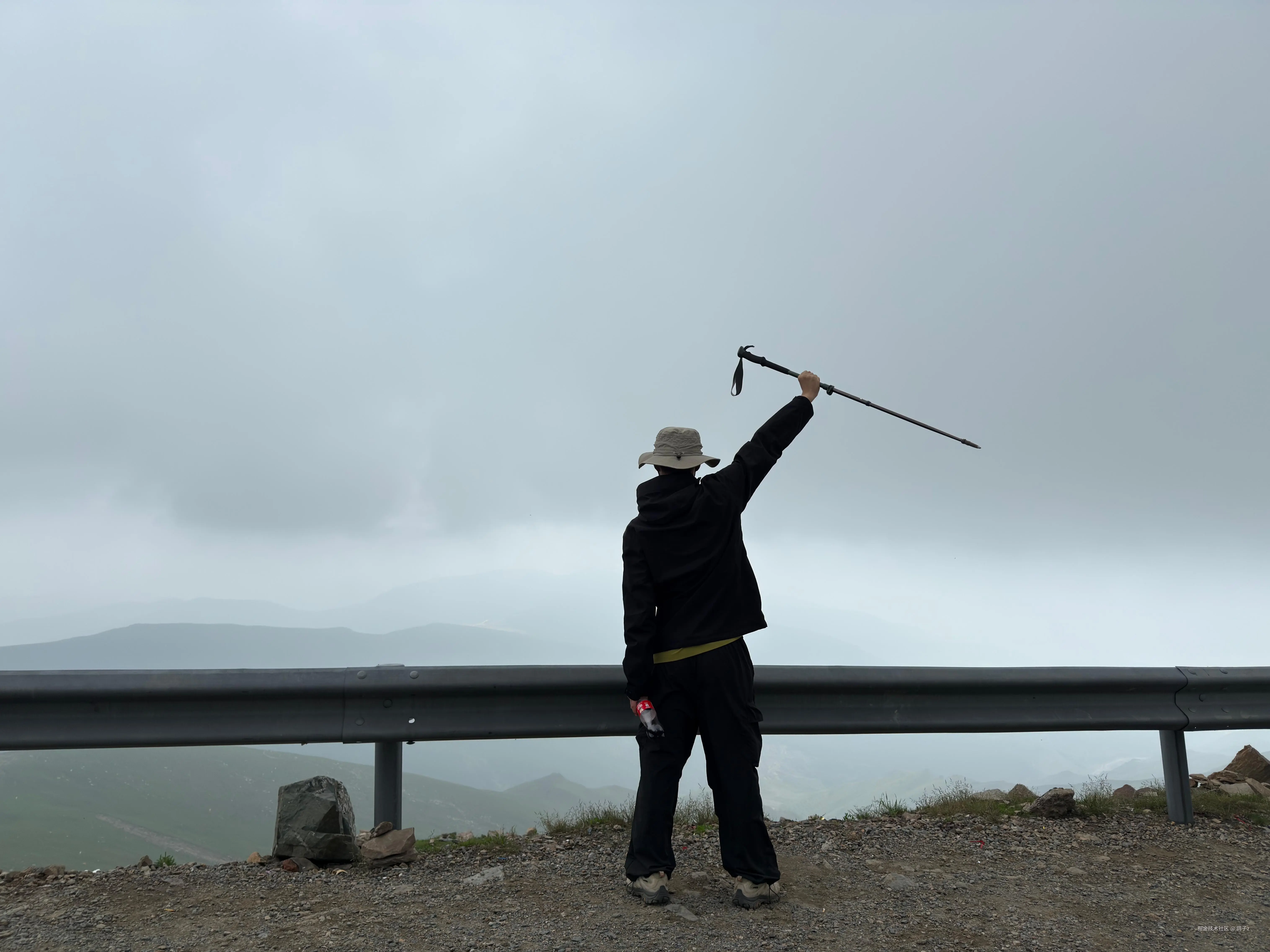 鸽子z于2025-07-14 14:20发布的图片