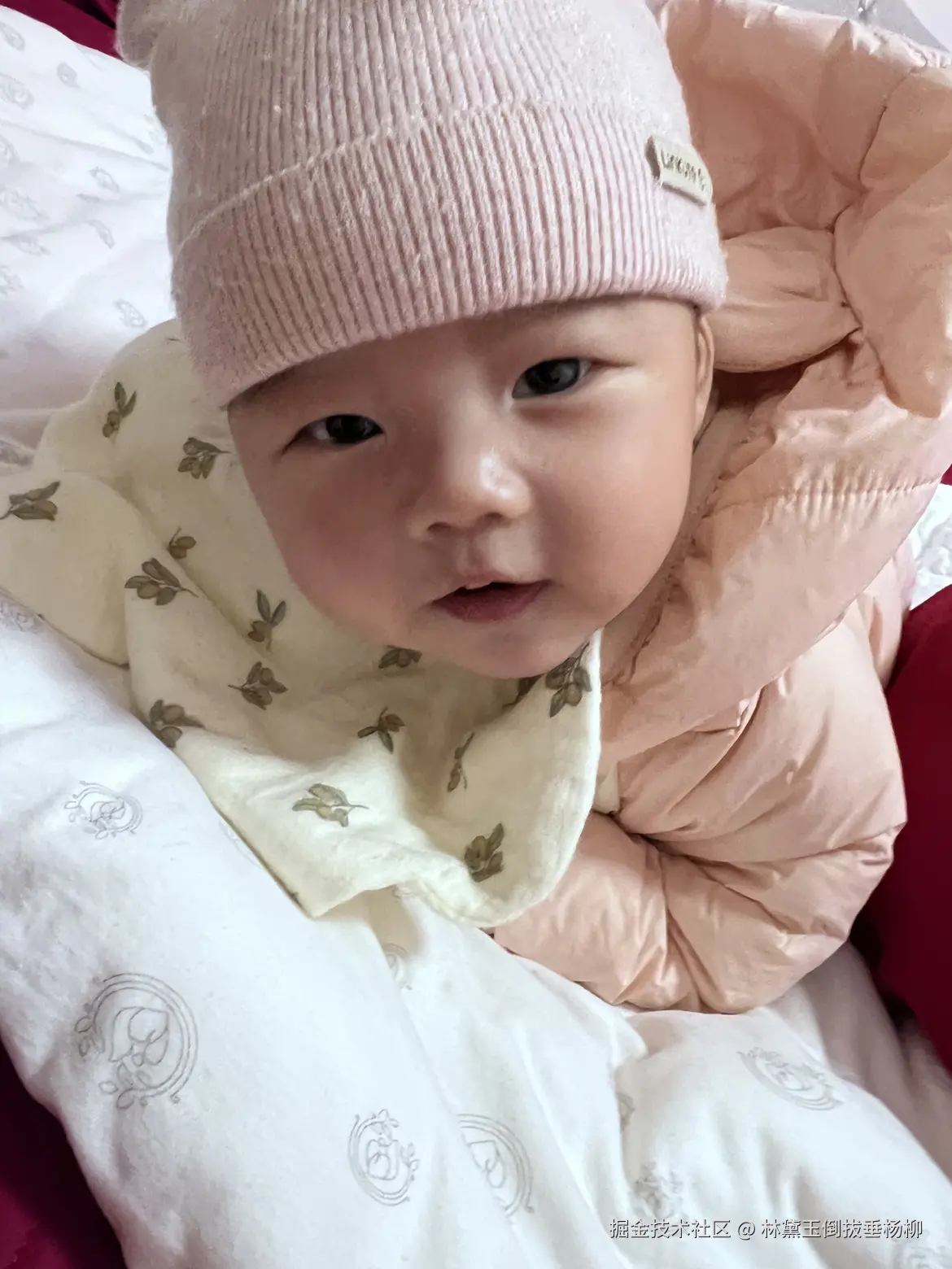 林黛玉倒拔垂杨柳于2026-03-28 13:52发布的图片