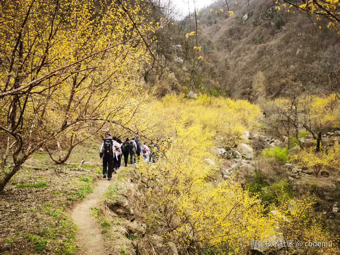 codeniu于2025-04-08 08:33发布的图片