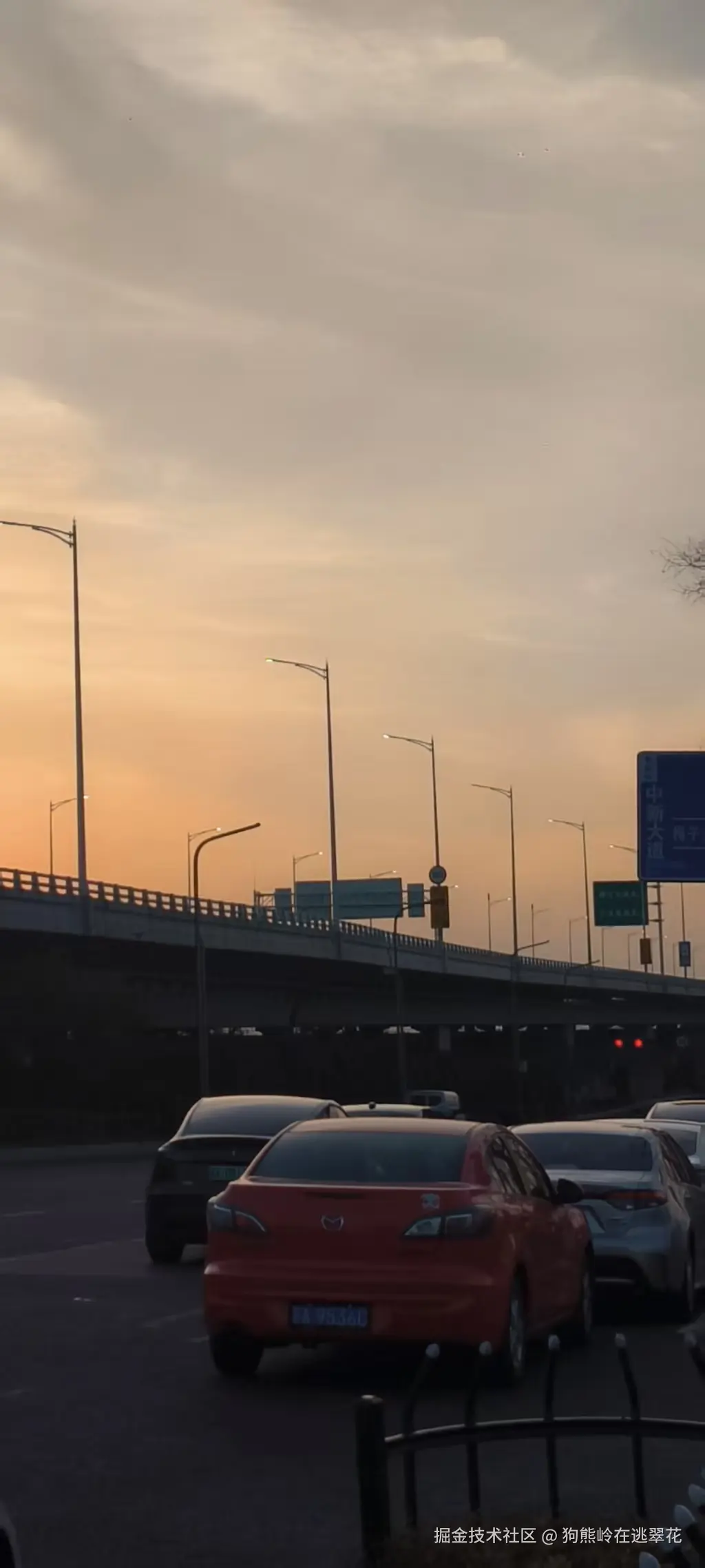 狗熊岭在逃翠花于2026-03-23 10:18发布的图片