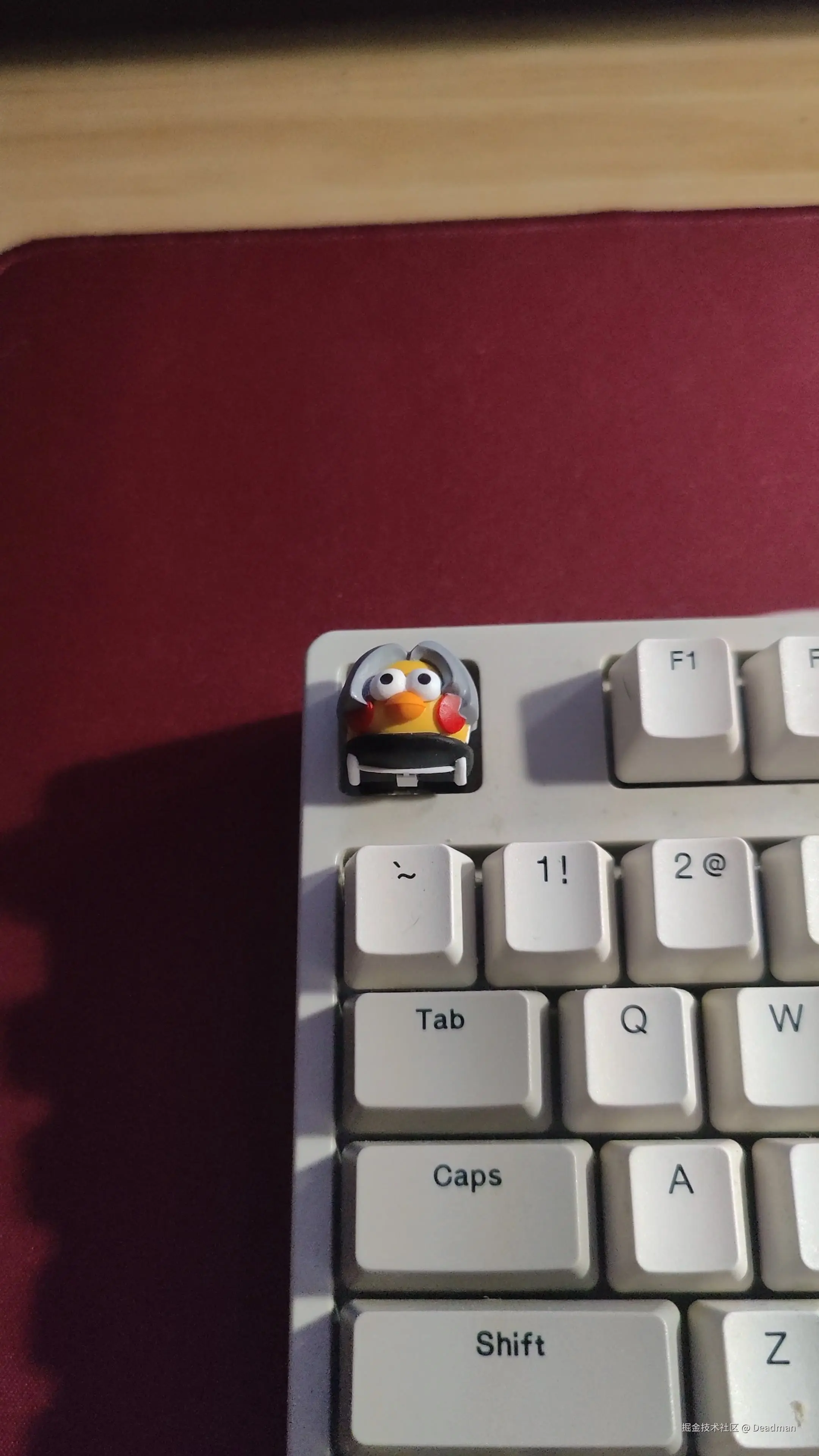 Deadman于2025-08-08 11:09发布的图片