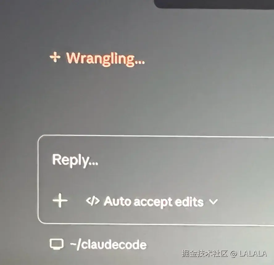 LALALA于2026-03-23 15:40发布的图片